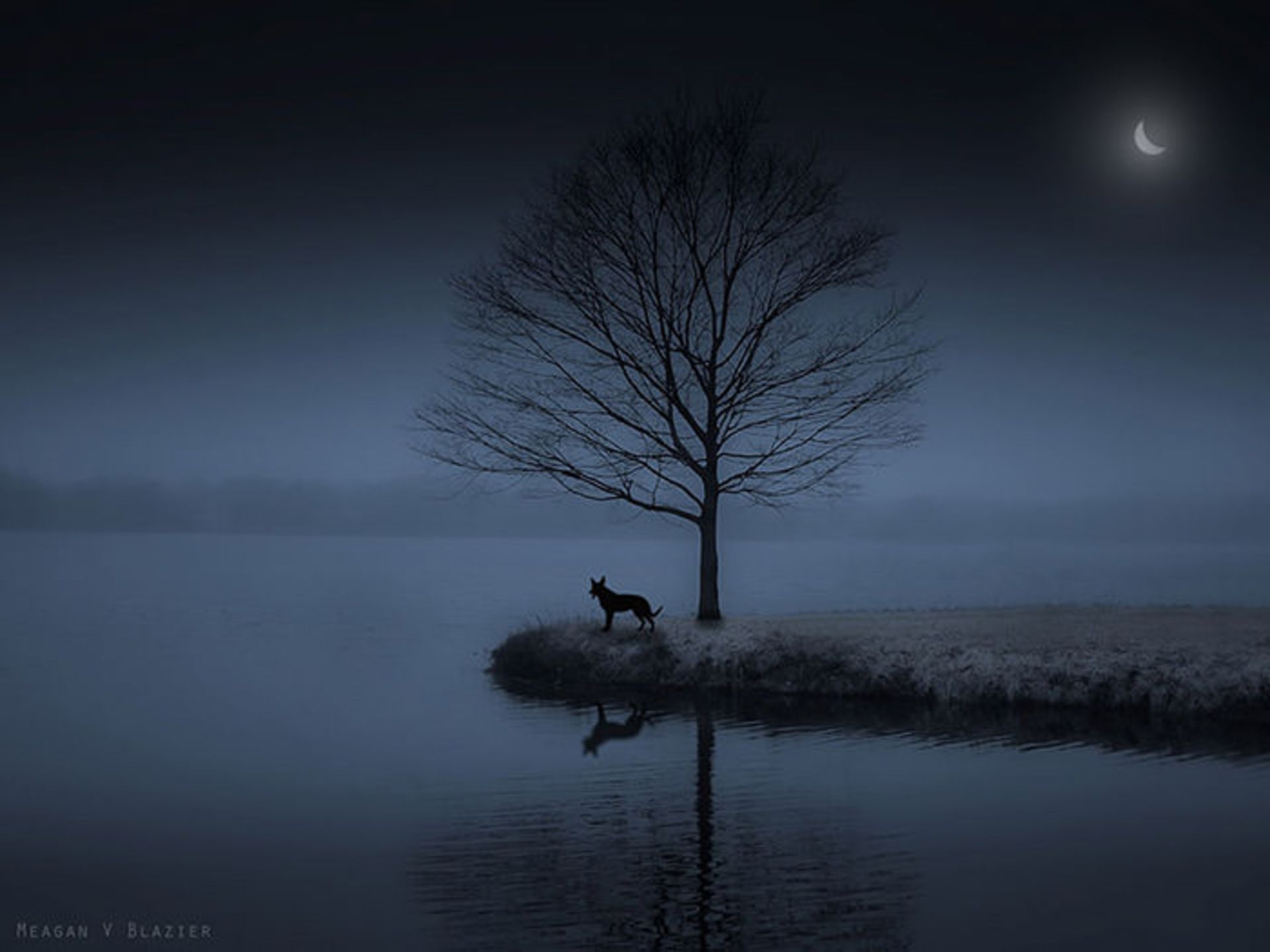 تصاویر خلق شده با دوربینی قدیمی