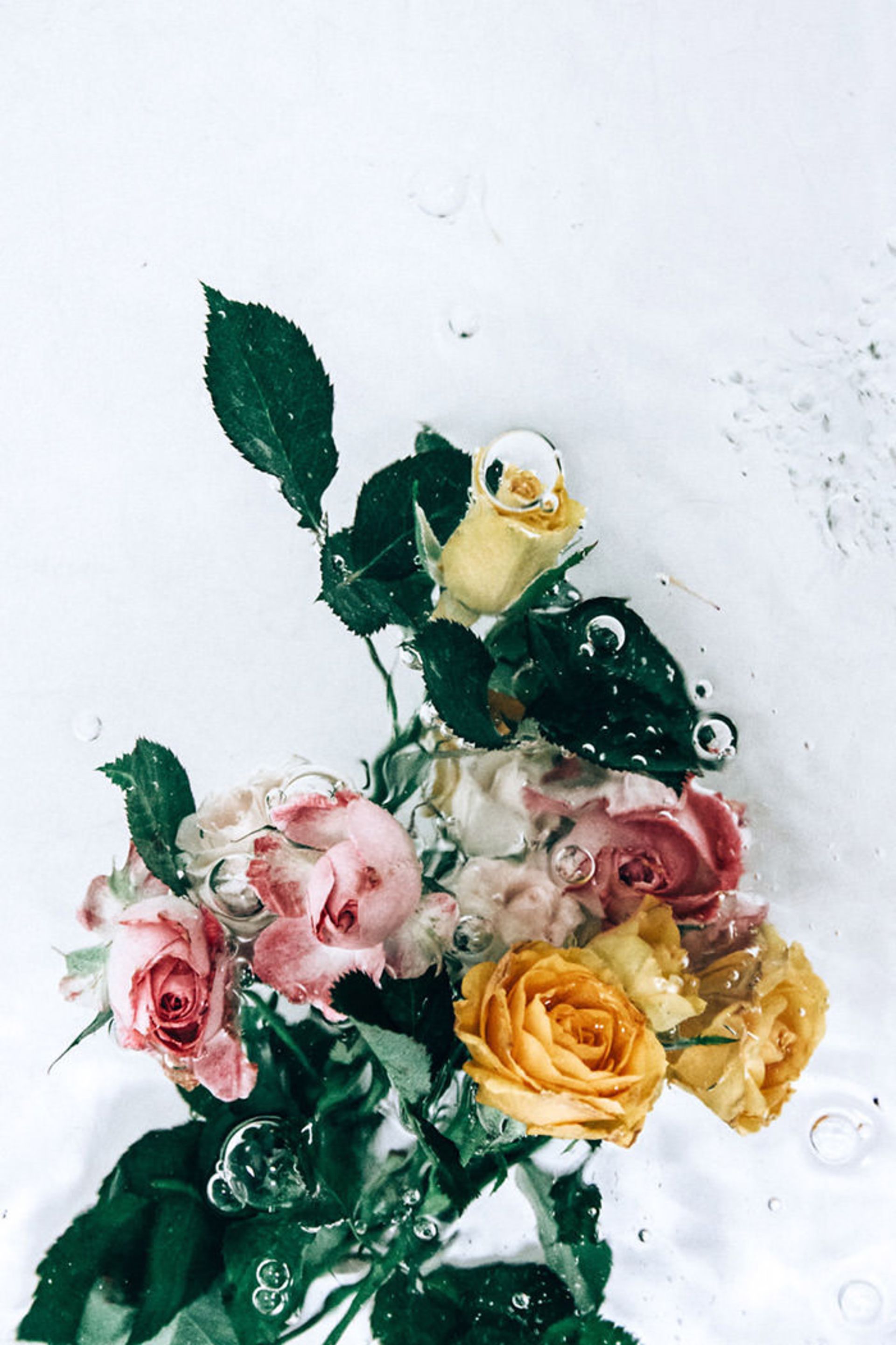 عکاسی از گل‌ها حین حرکت در آب