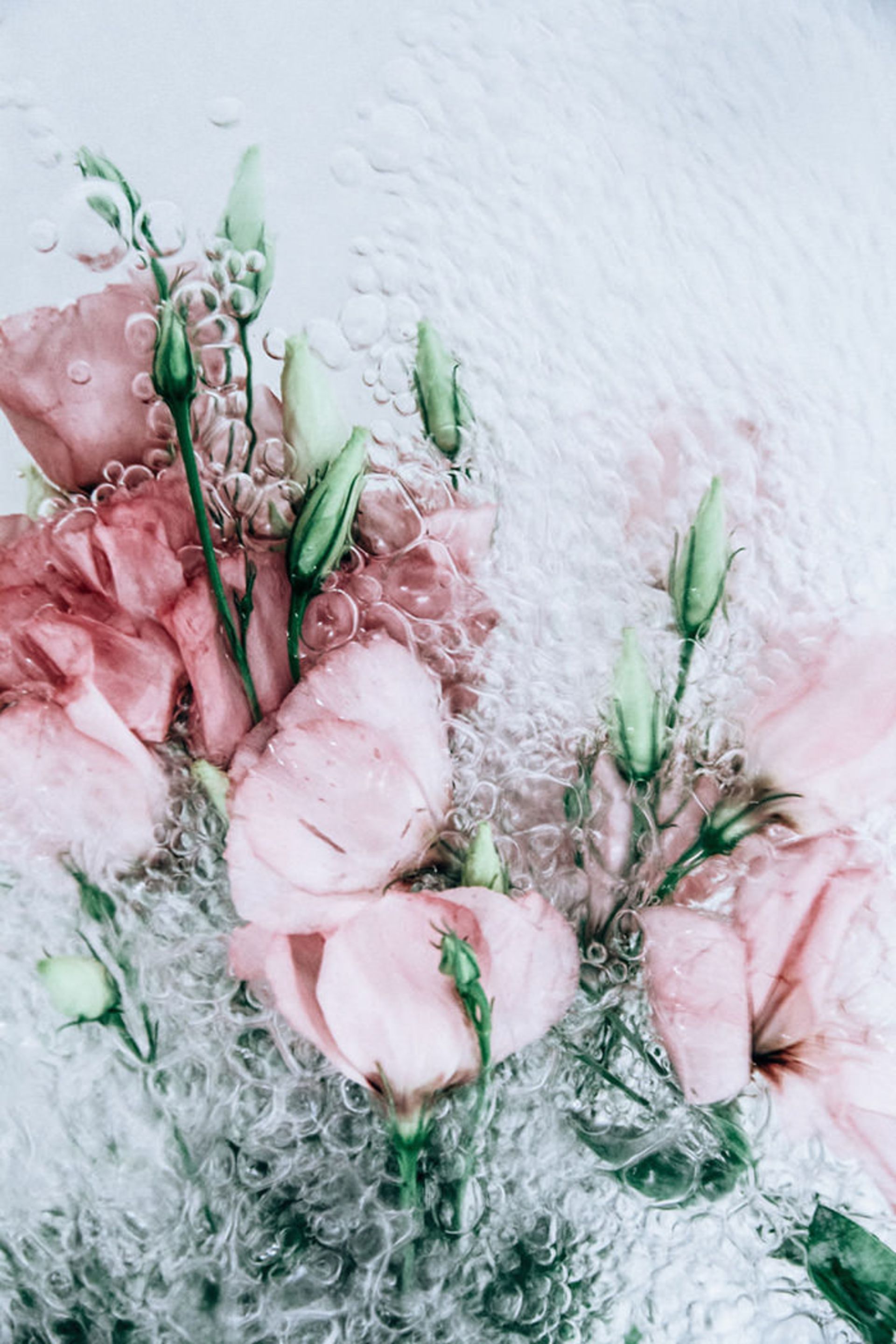 عکاسی از گل‌ها حین حرکت در آب