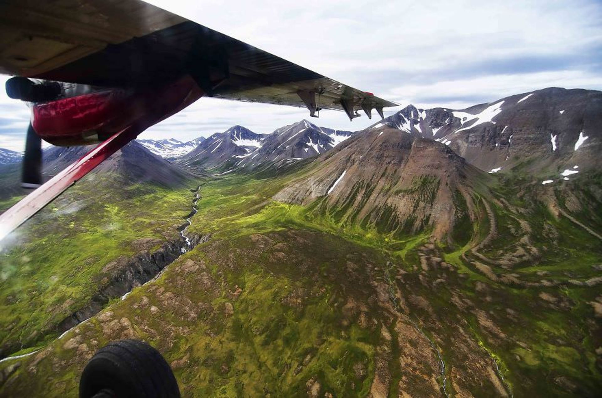 دستاورد سفری یک ساله به ایسلند