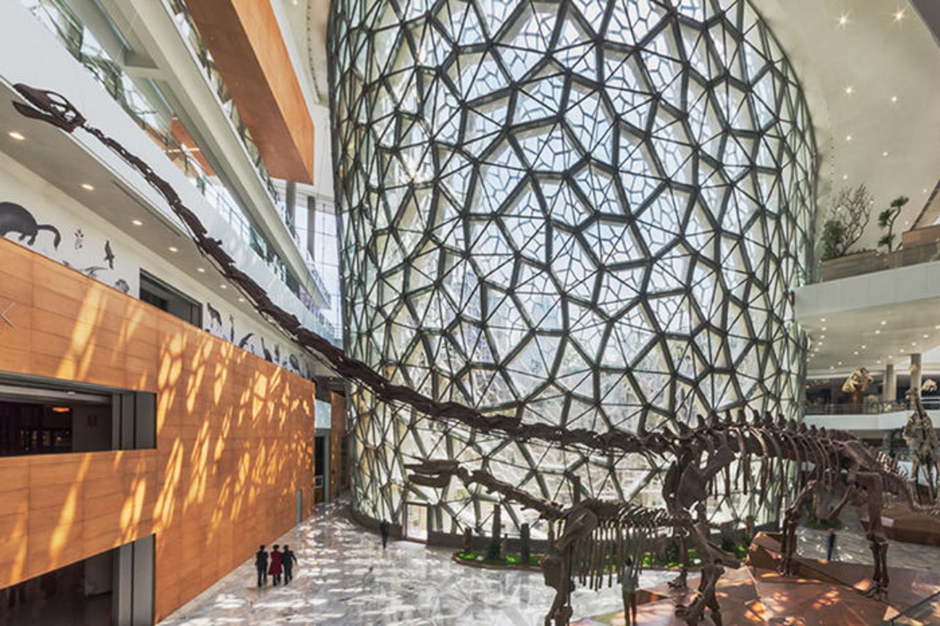 نگاهی به ساختمان موزه تاریخ طبیعی شانگهای