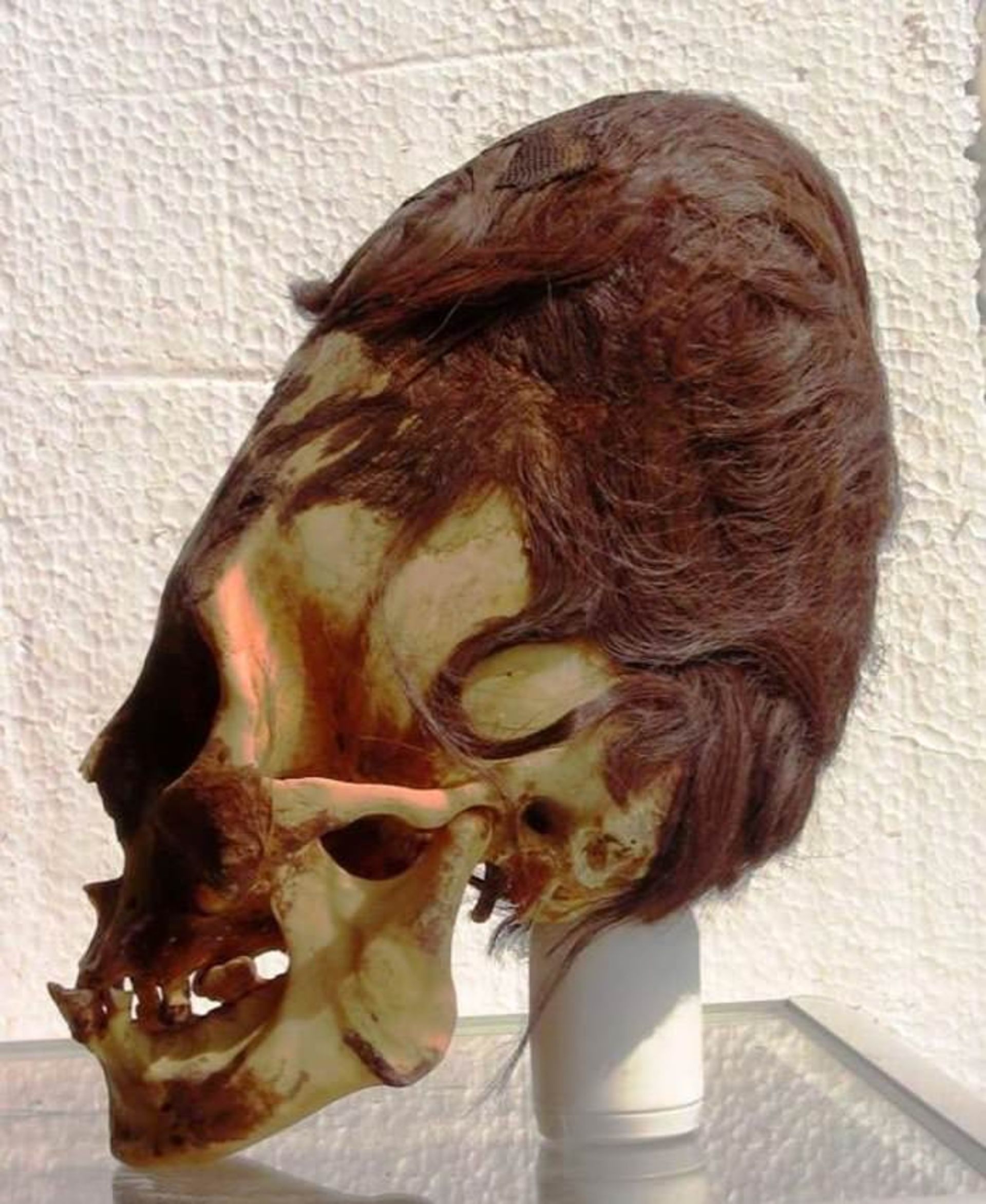 skull-paracas