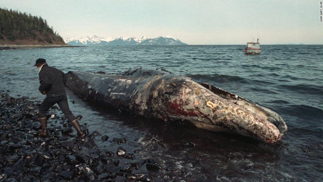 14-of-the-most-expensive-accidents-in-human-history-5