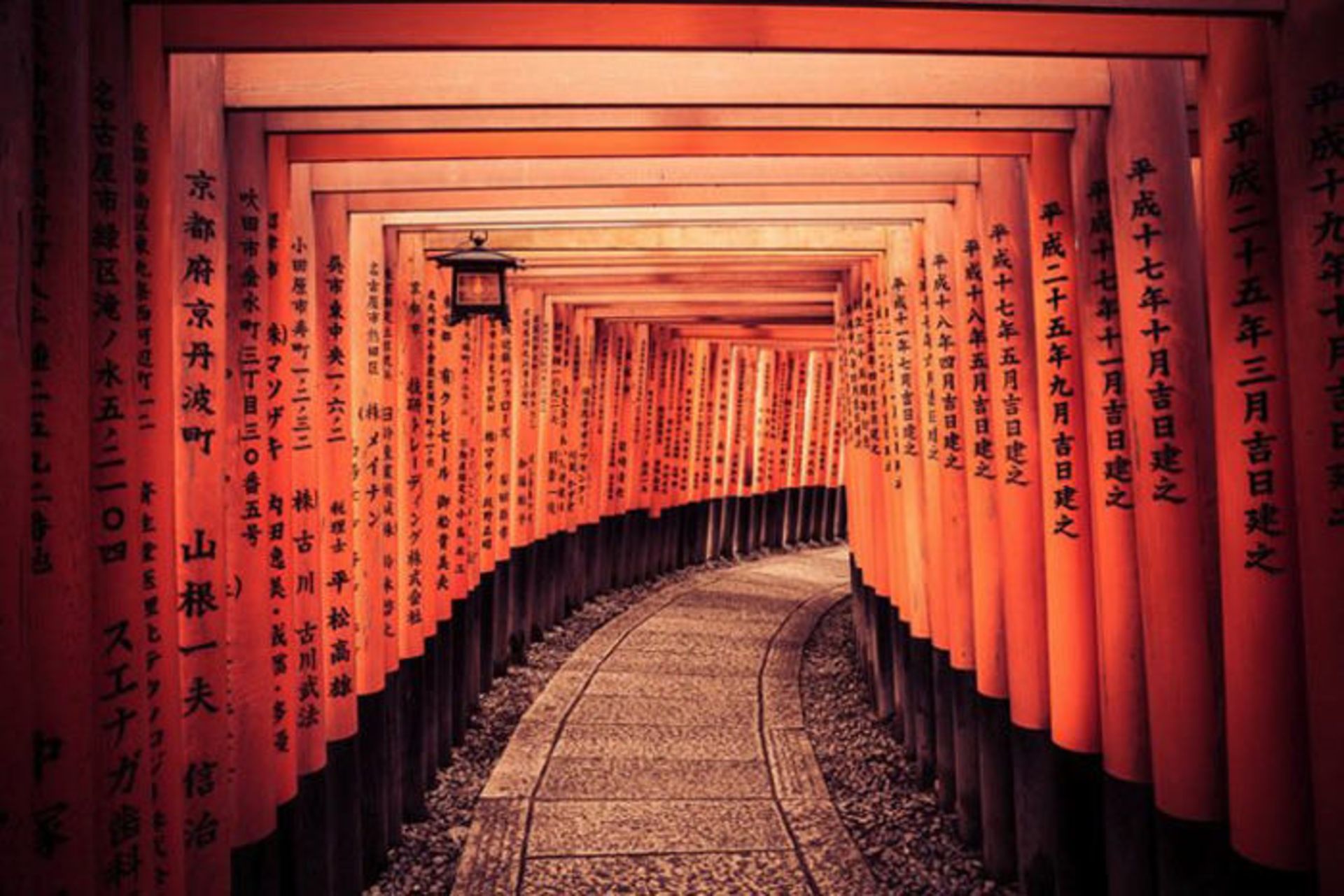 خطوط اصلی در عکاسی شهری