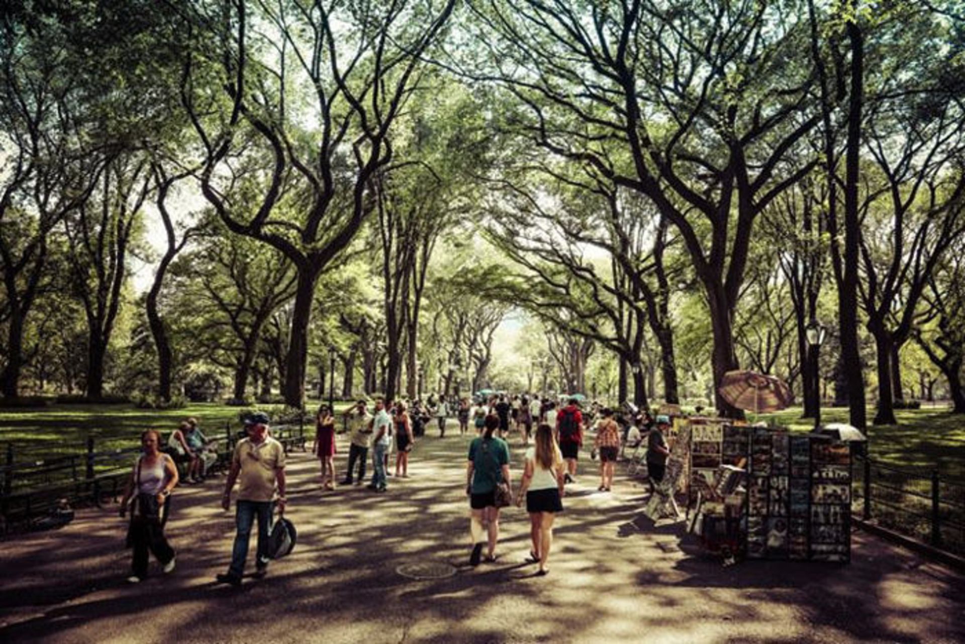 استفاده از الگوها در عکاسی شهری