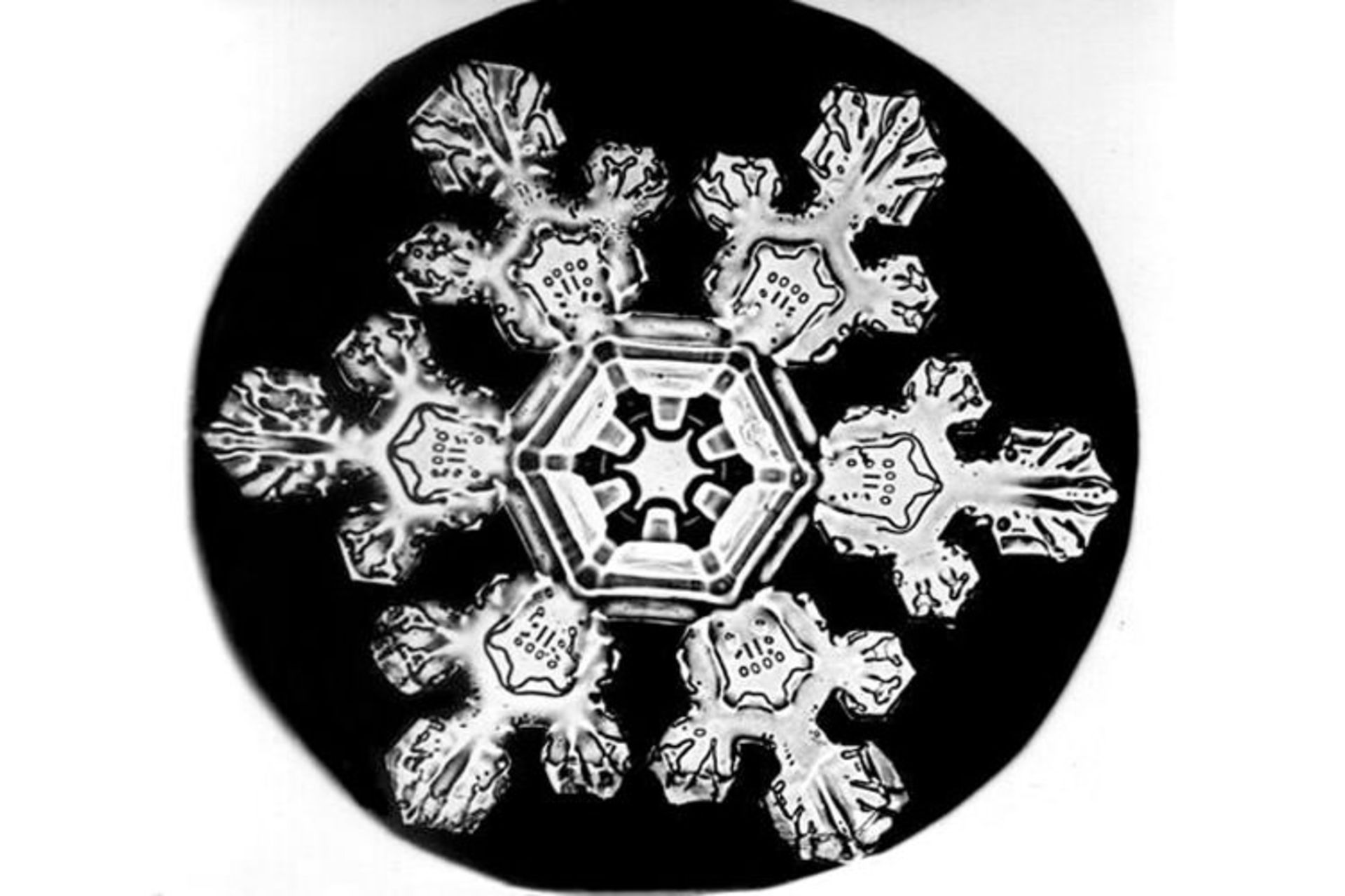 Bentley Snowflake11