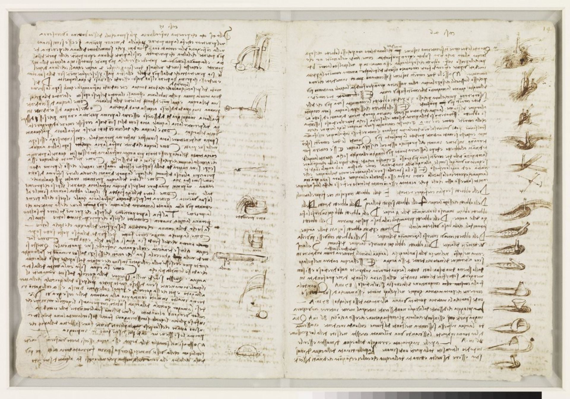 2015 leonardocodex 027