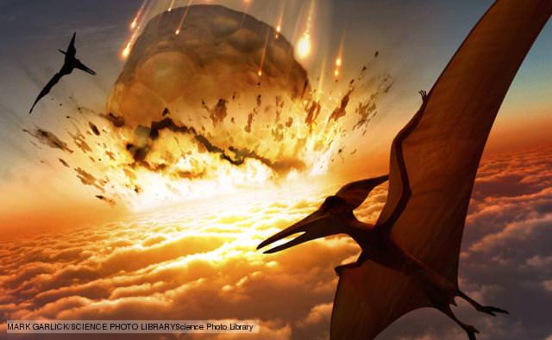 cretaceous-tertiary extinction event 1