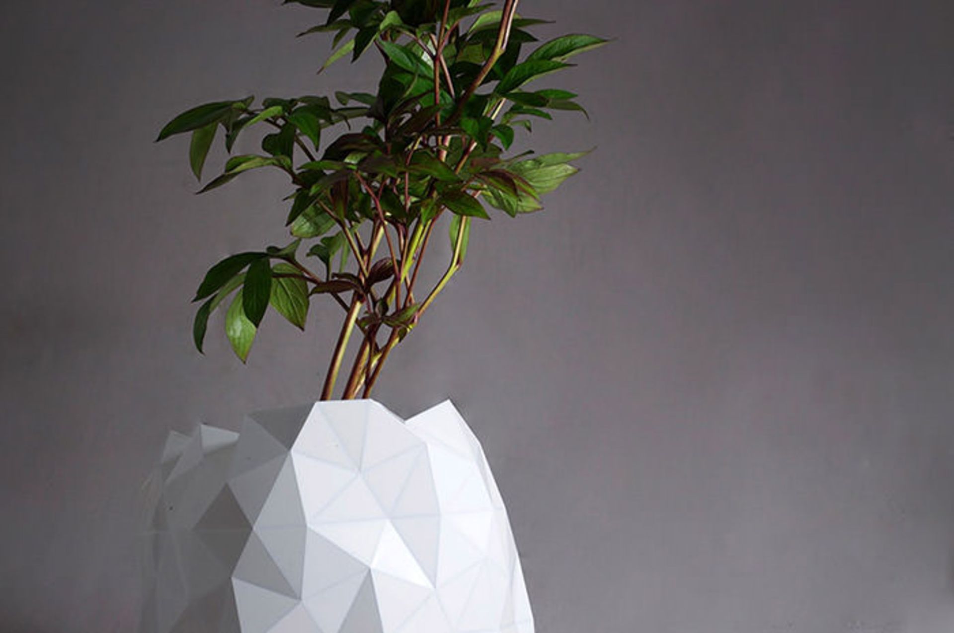 ابتکار در ساخت گلدان‌های اوریگمی که همراه با رشد گیاه بزرگ‌تر می‌شوند
