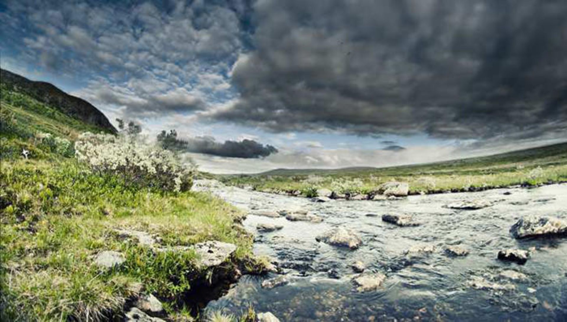 درگرامیداشت بیست و پنجمین سالگرد ارائه نرم افزار فوتوشاپ