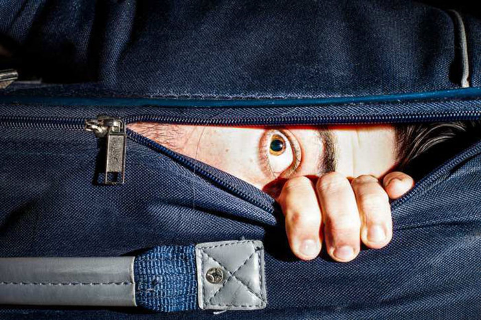 درگرامیداشت بیست و پنجمین سالگرد ارائه نرم افزار فوتوشاپ