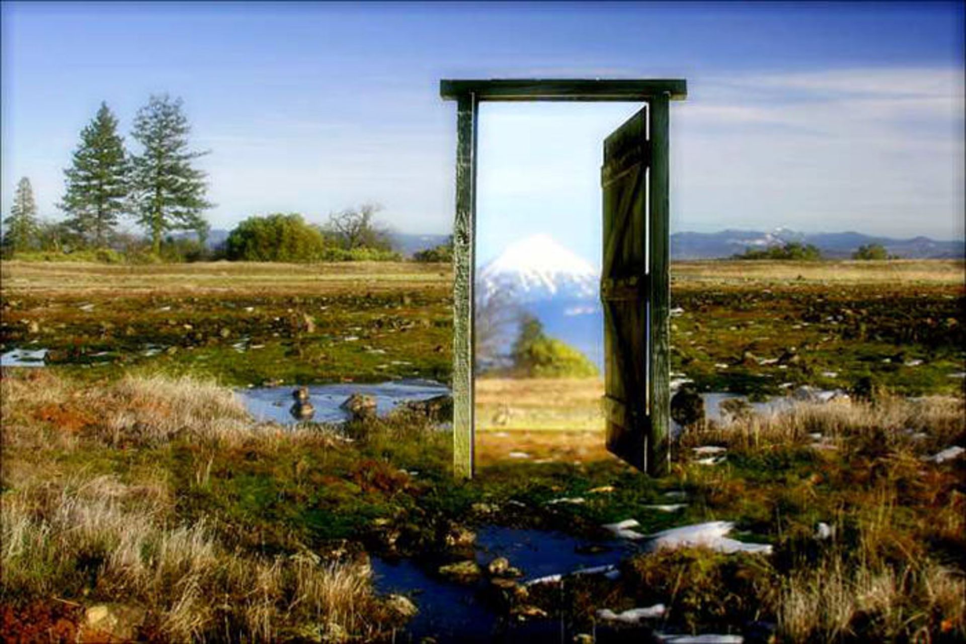 درگرامیداشت بیست و پنجمین سالگرد ارائه نرم افزار فوتوشاپ