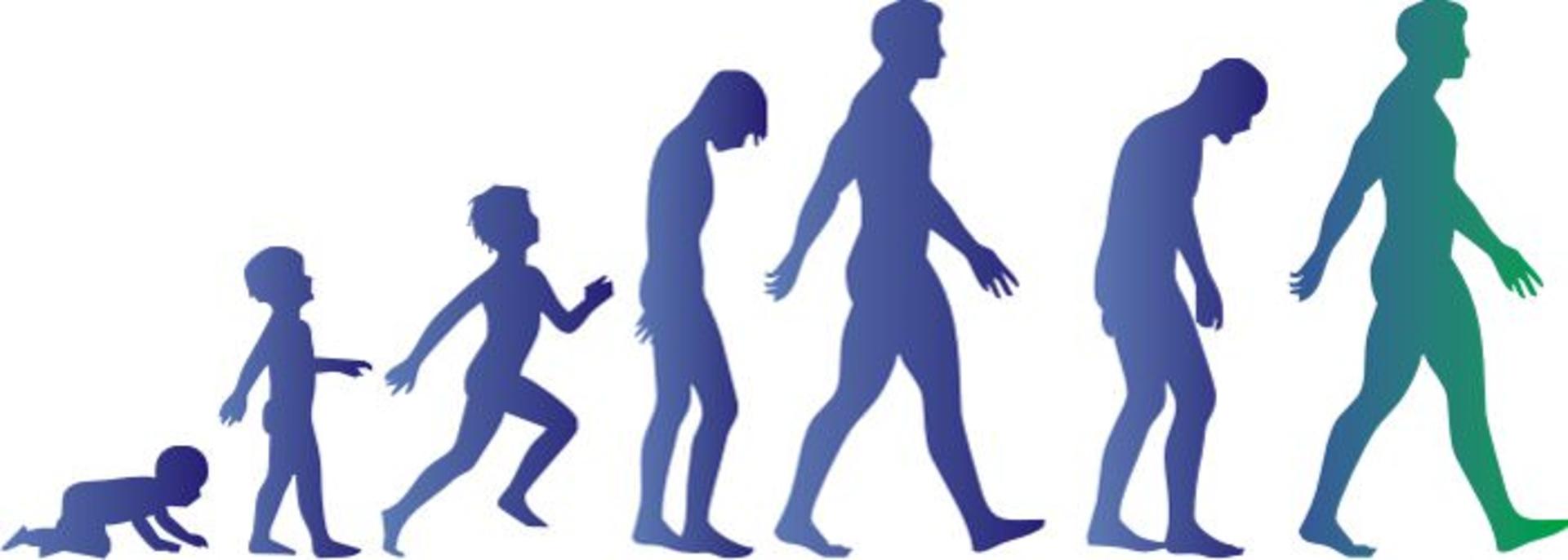 Reversing Aging