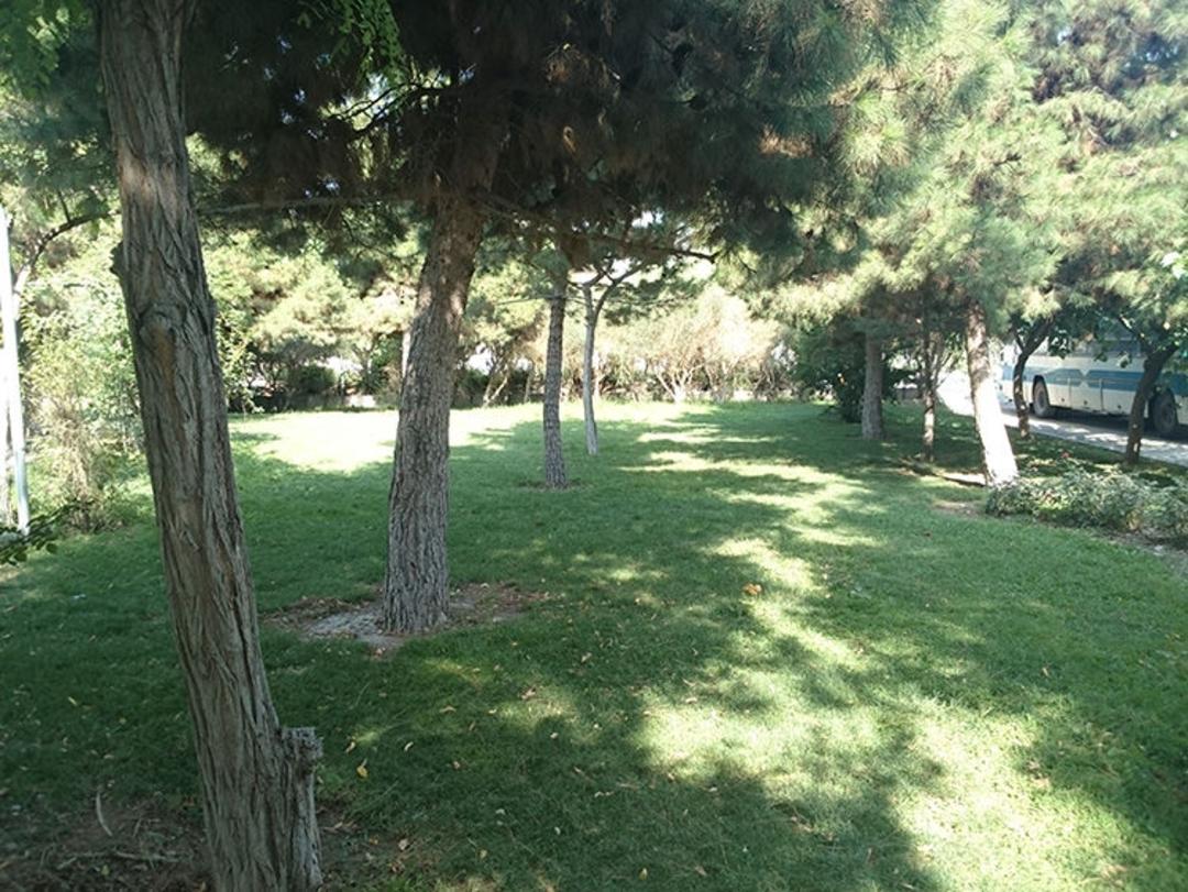 DSC 0004
