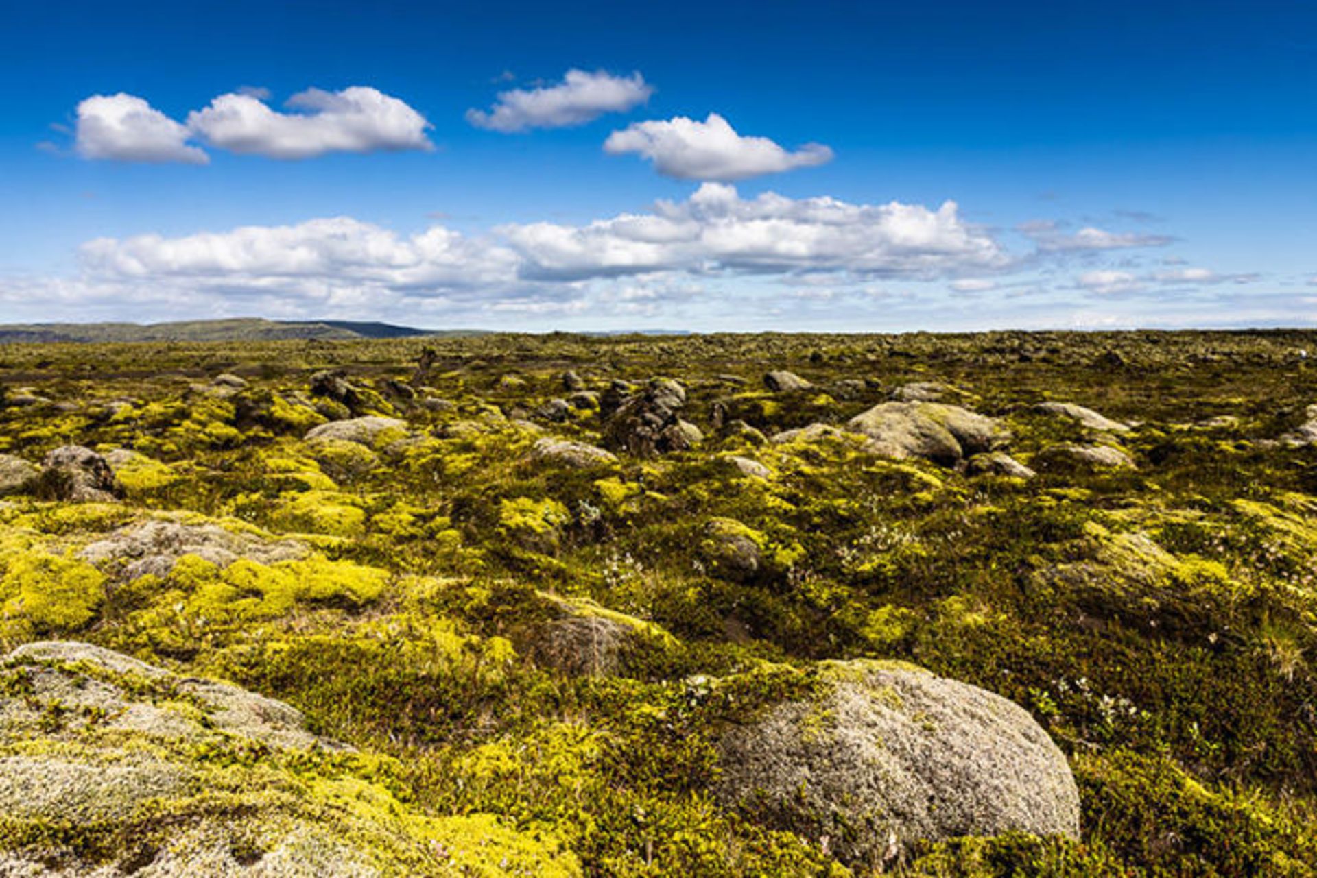 سفر به ایسلند همراه با فابین رولند