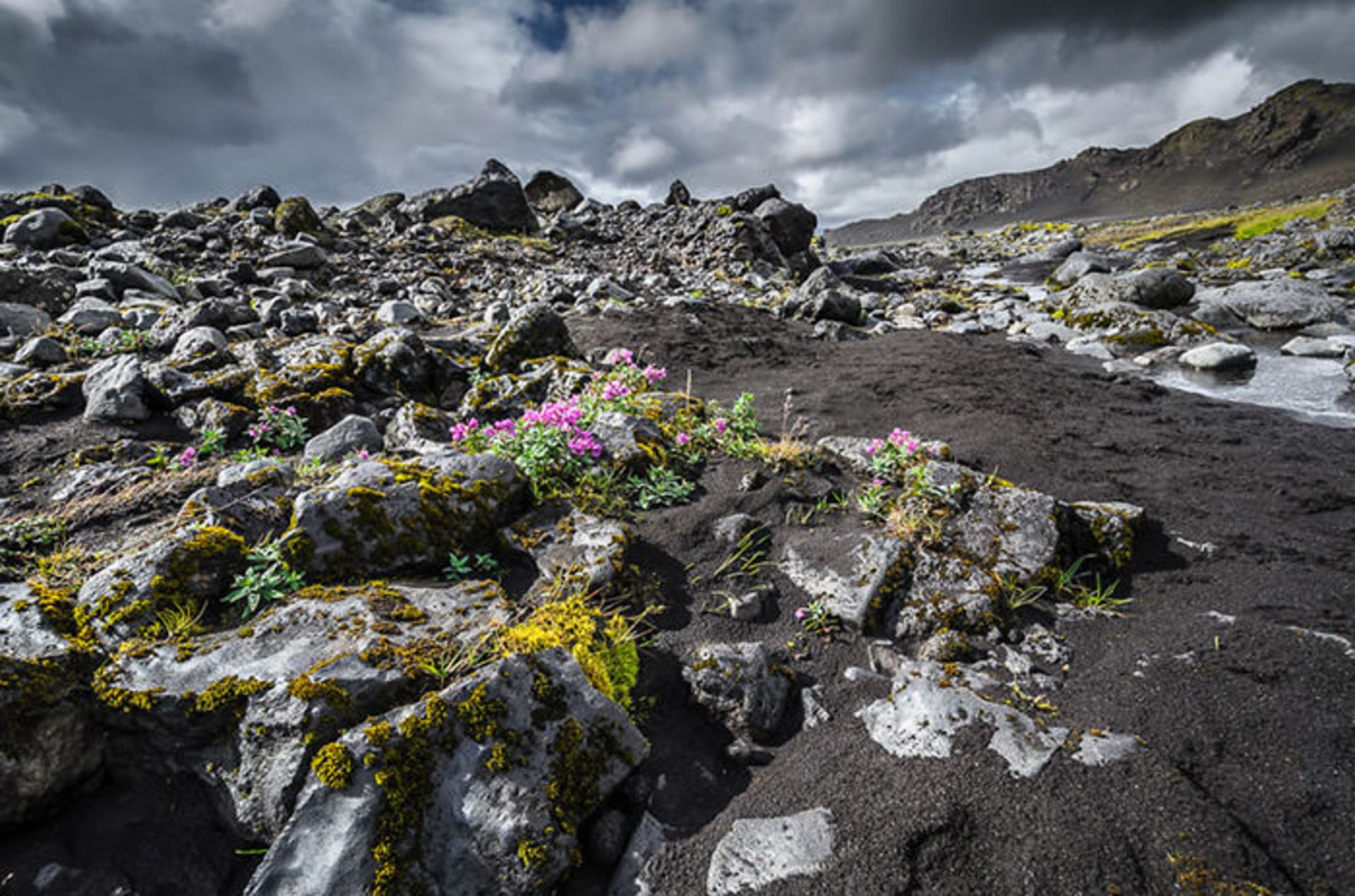 سفر به ایسلند همراه با فابین رولند