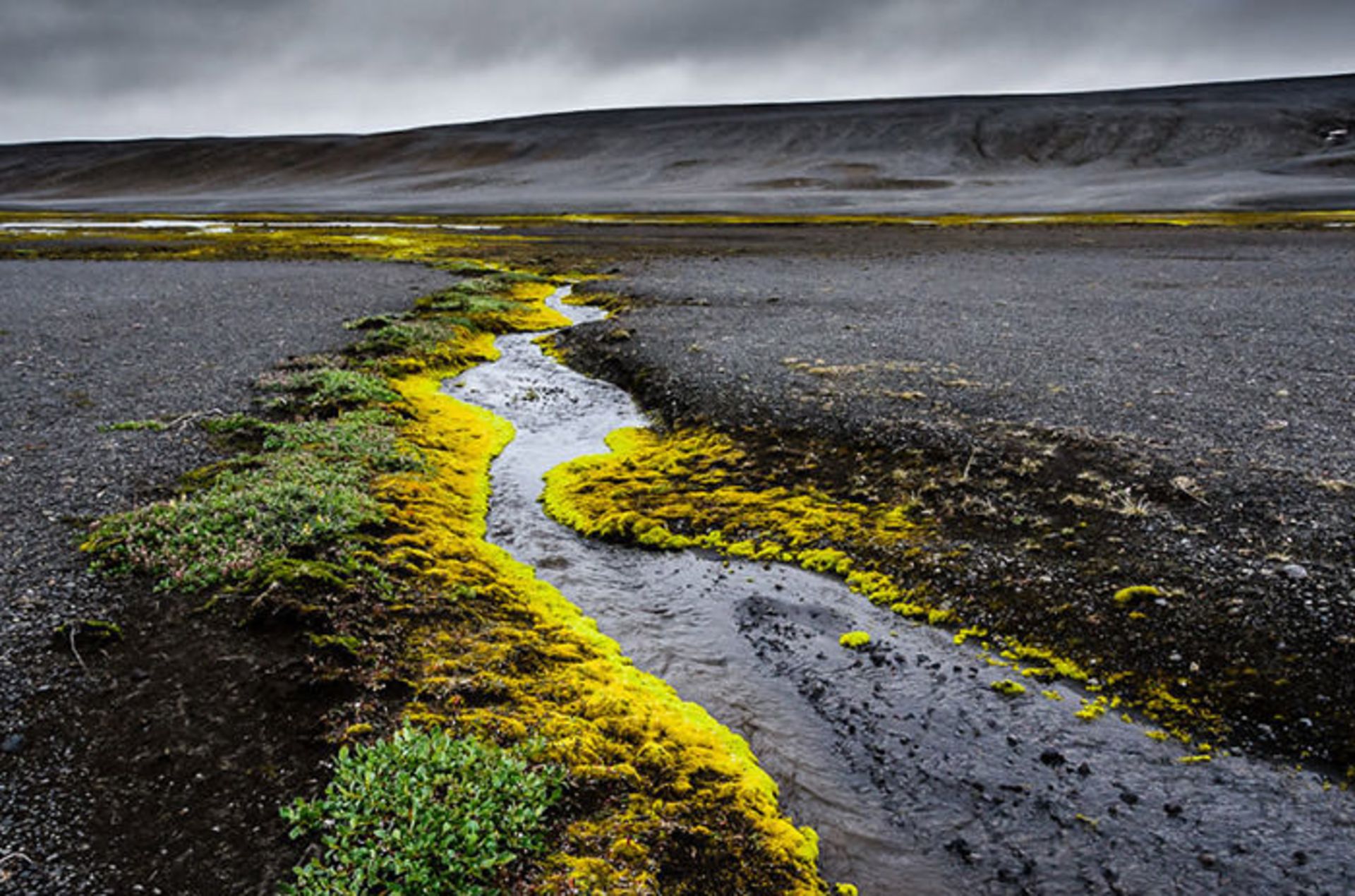 سفر به ایسلند همراه با فابین رولند