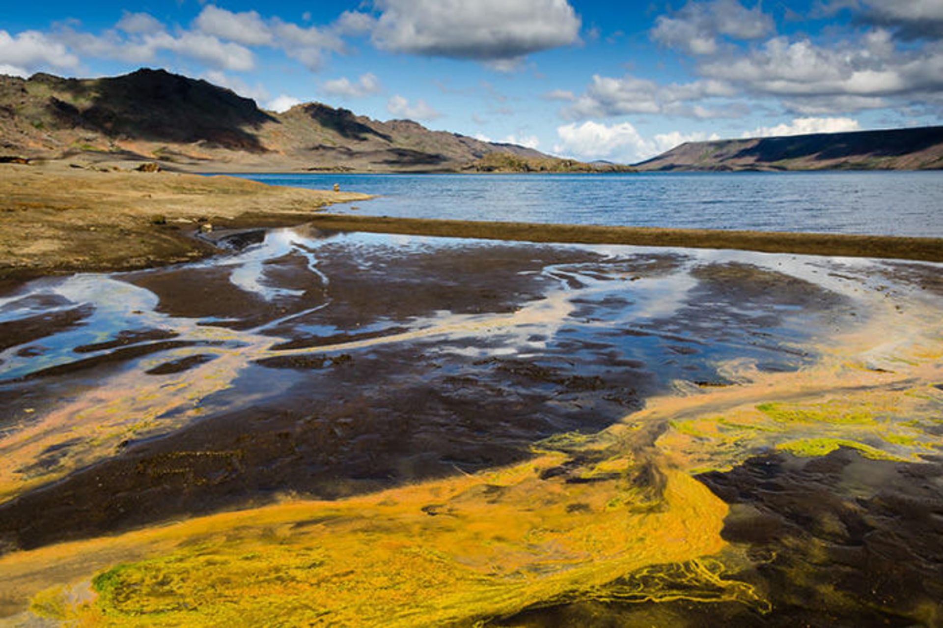 سفر به ایسلند همراه با فابین رولند