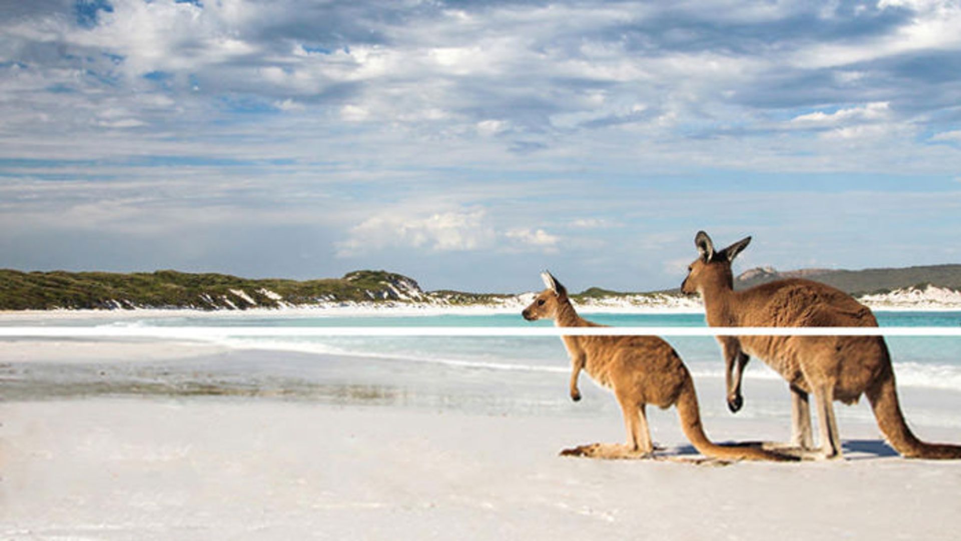 تصویر ارتقا داده شده در کنار نمونه اصلی
