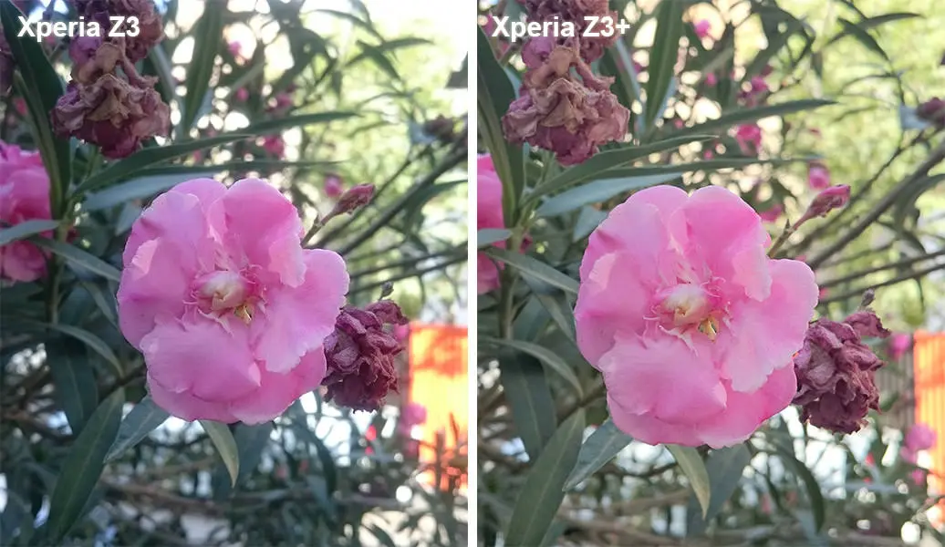 بررسی گوشی اکسپریا زد 3 پلاس (+Xperia Z3) سونی