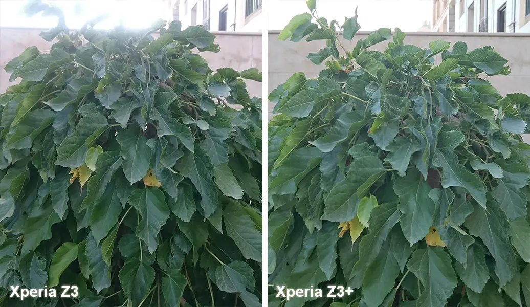 بررسی گوشی اکسپریا زد 3 پلاس (+Xperia Z3) سونی