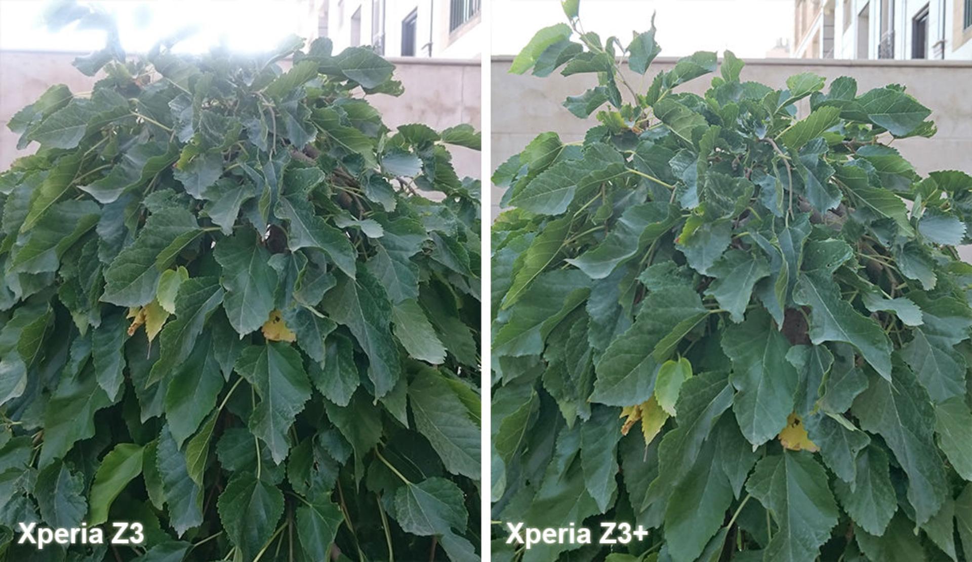 بررسی گوشی اکسپریا زد 3 پلاس (+Xperia Z3) سونی