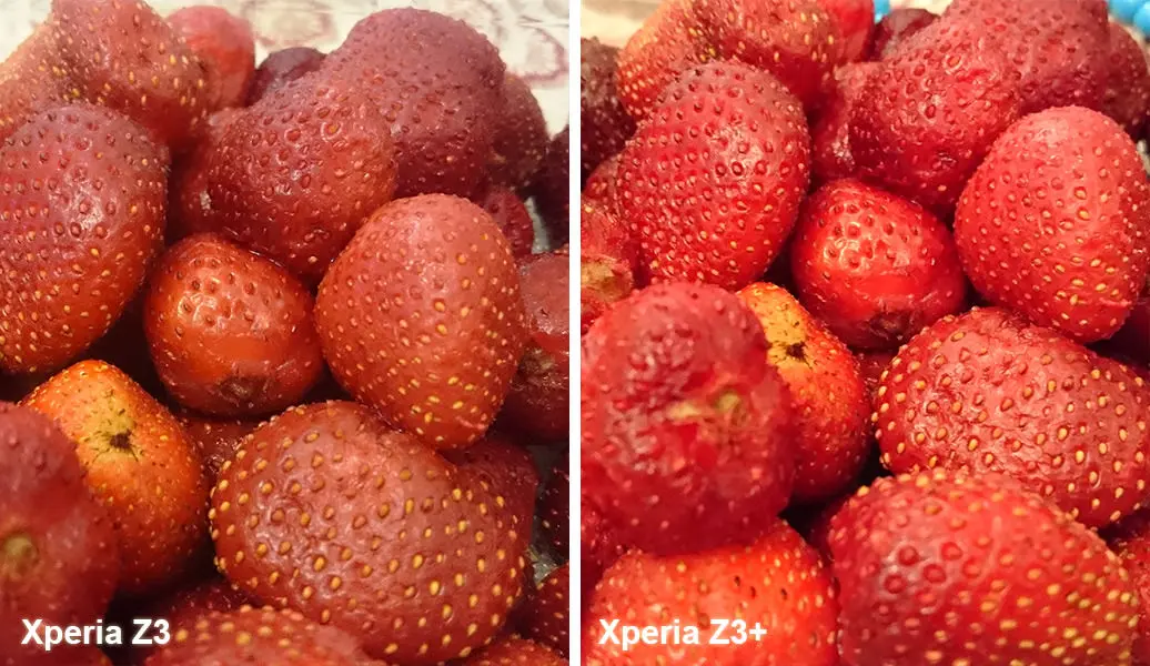 بررسی گوشی اکسپریا زد 3 پلاس (+Xperia Z3) سونی
