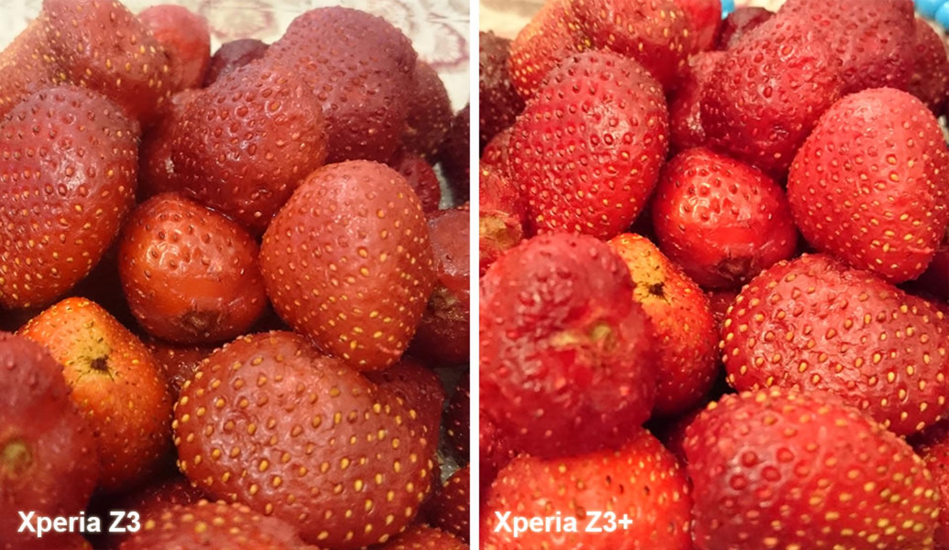 بررسی گوشی اکسپریا زد 3 پلاس (+Xperia Z3) سونی