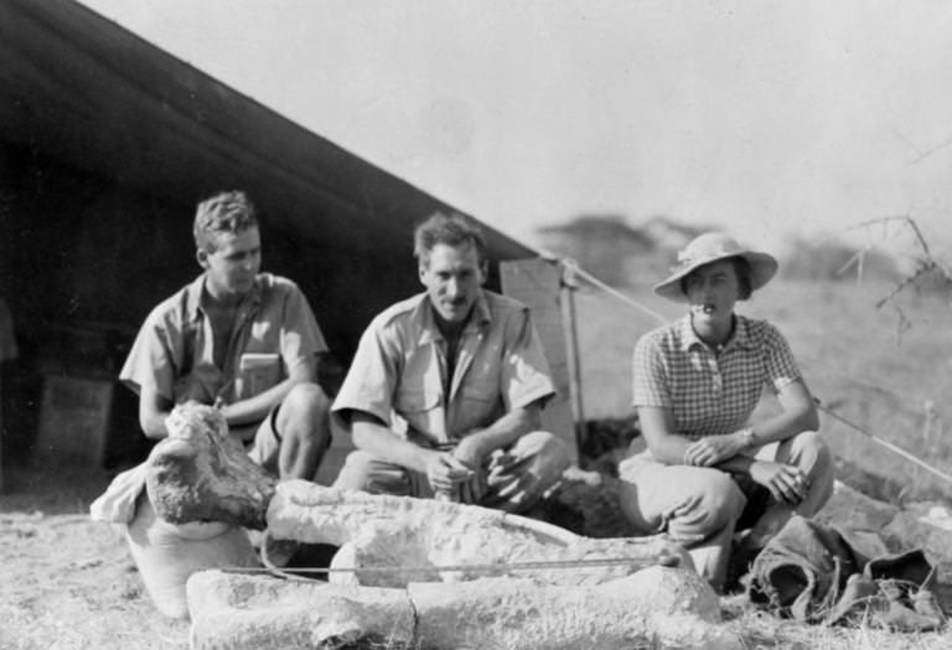 85610.ngsversion.1422287453290.adapt.768.1