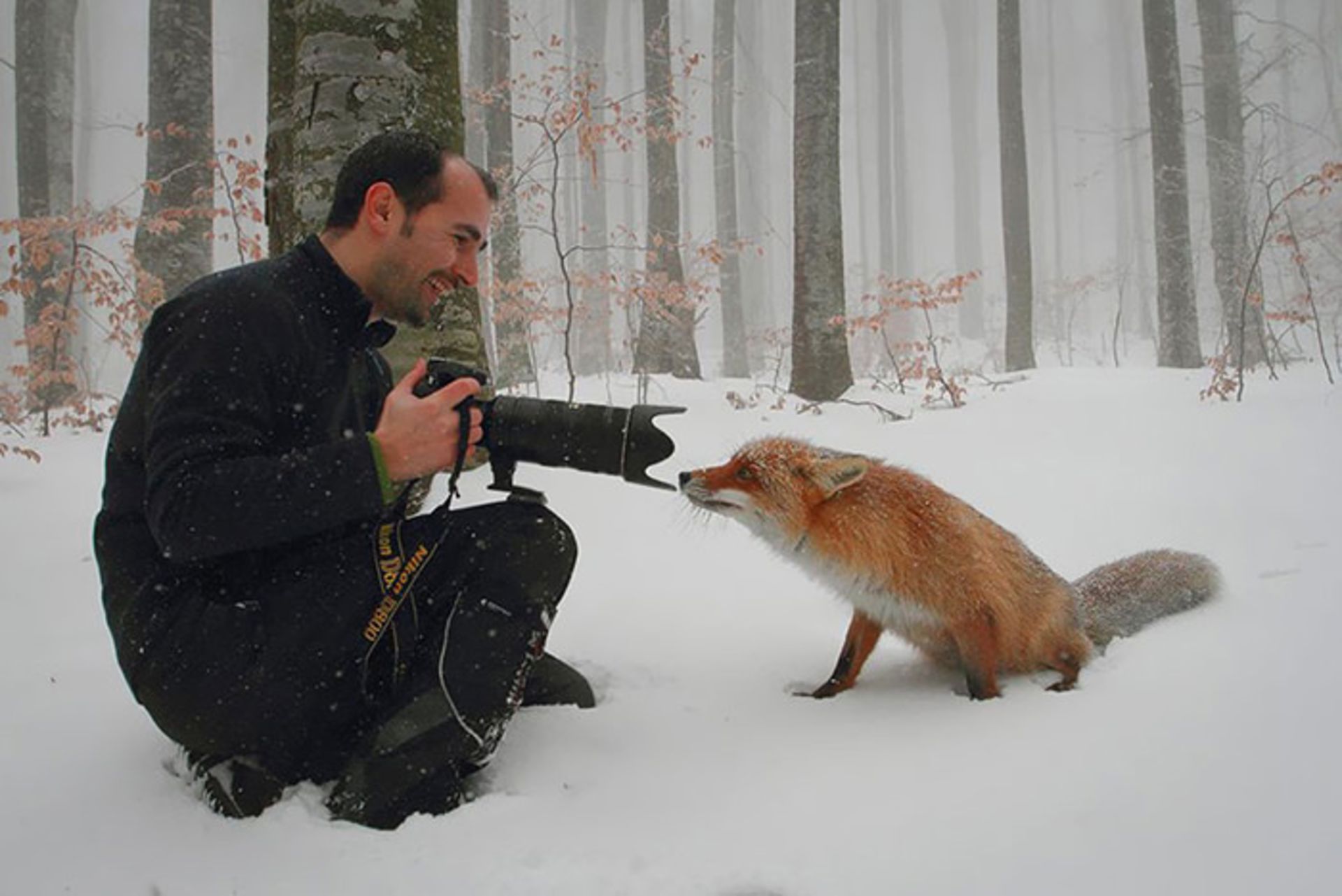 تصاویری جالب از همکاری جانوران با عکاسان