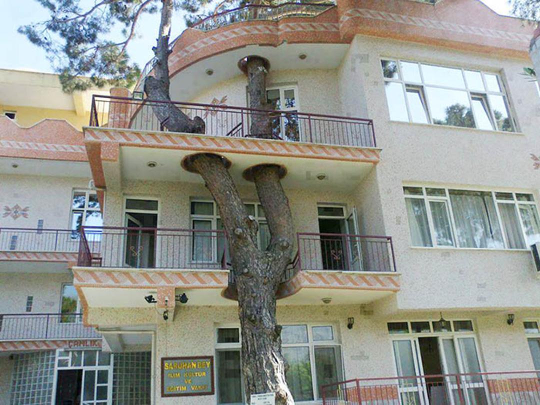 تعامل معماری و طبیعت