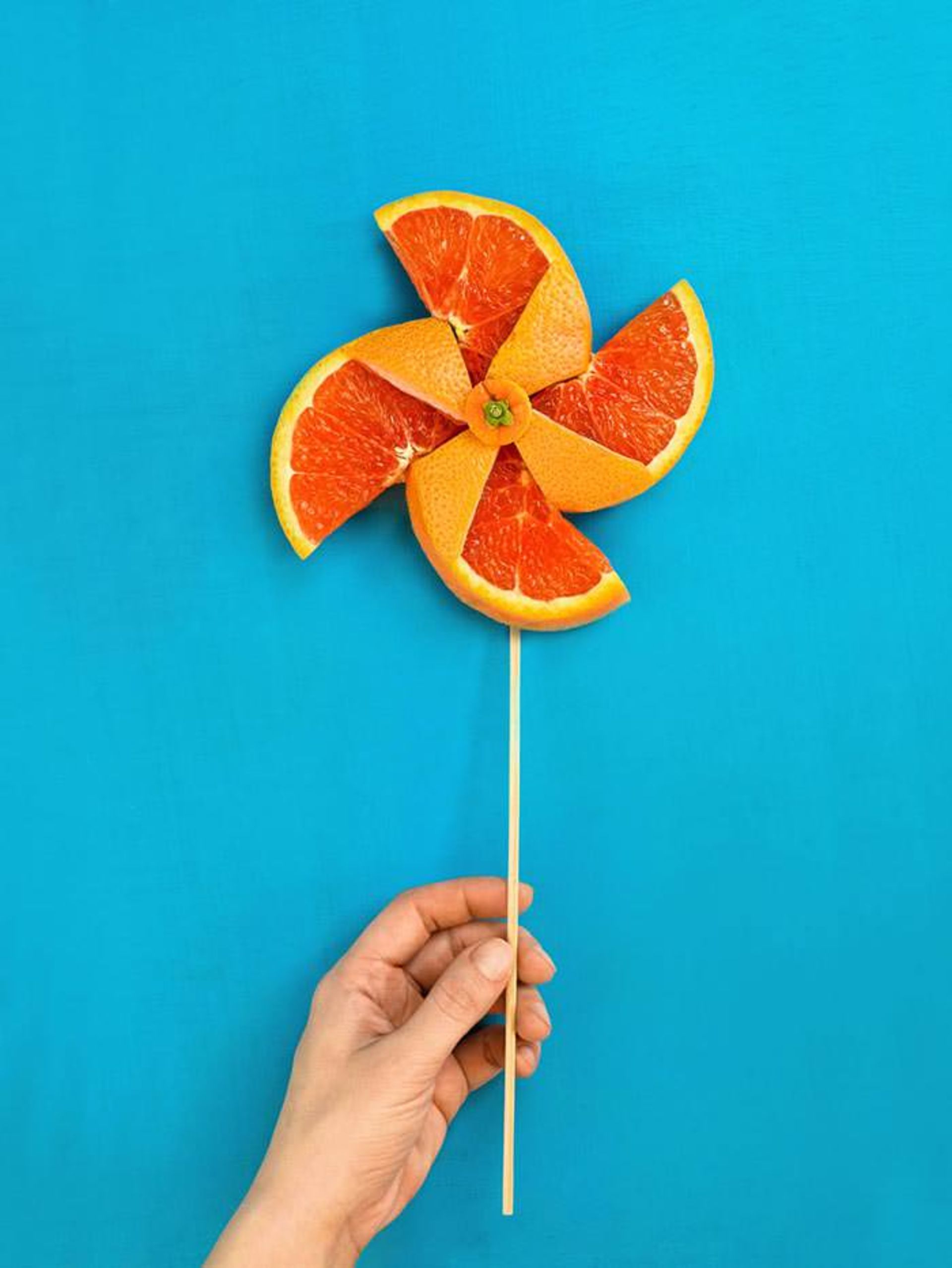 ماجراجویی‌های شیرین دینا بلنکو