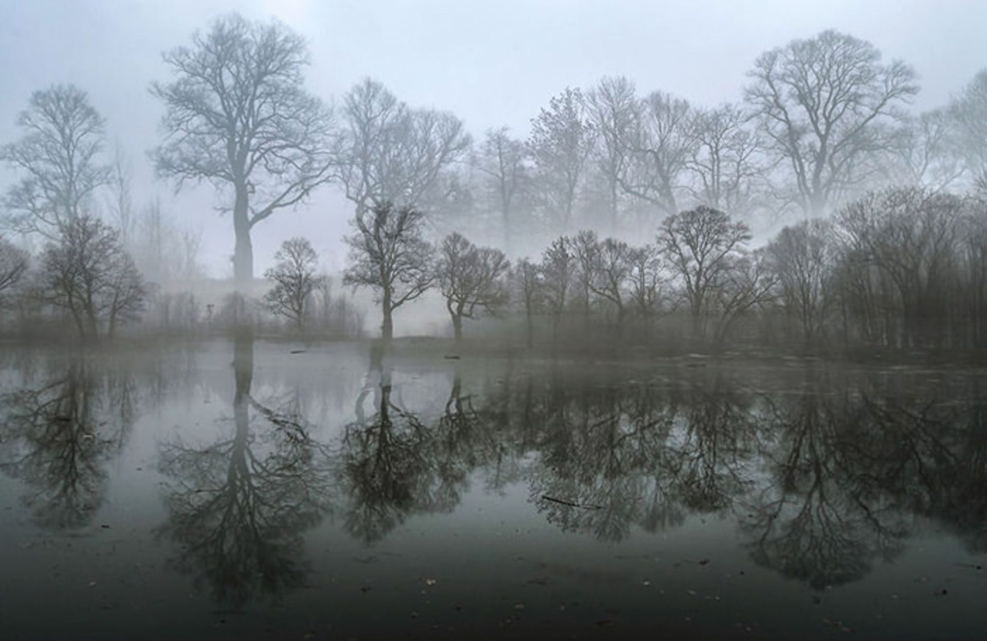 عکاسی منظره در قالبی متفاوت