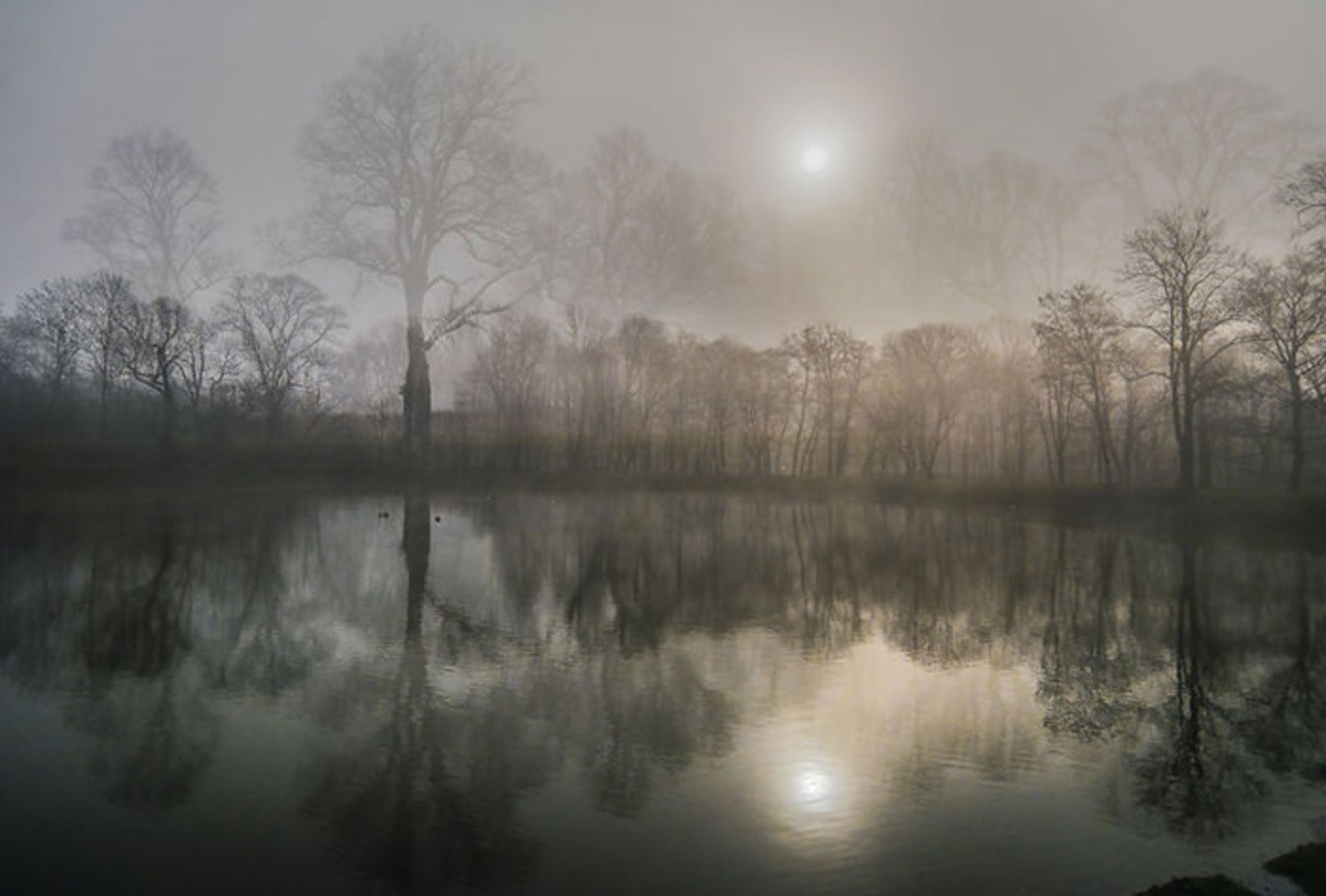 عکاسی منظره در قالبی متفاوت