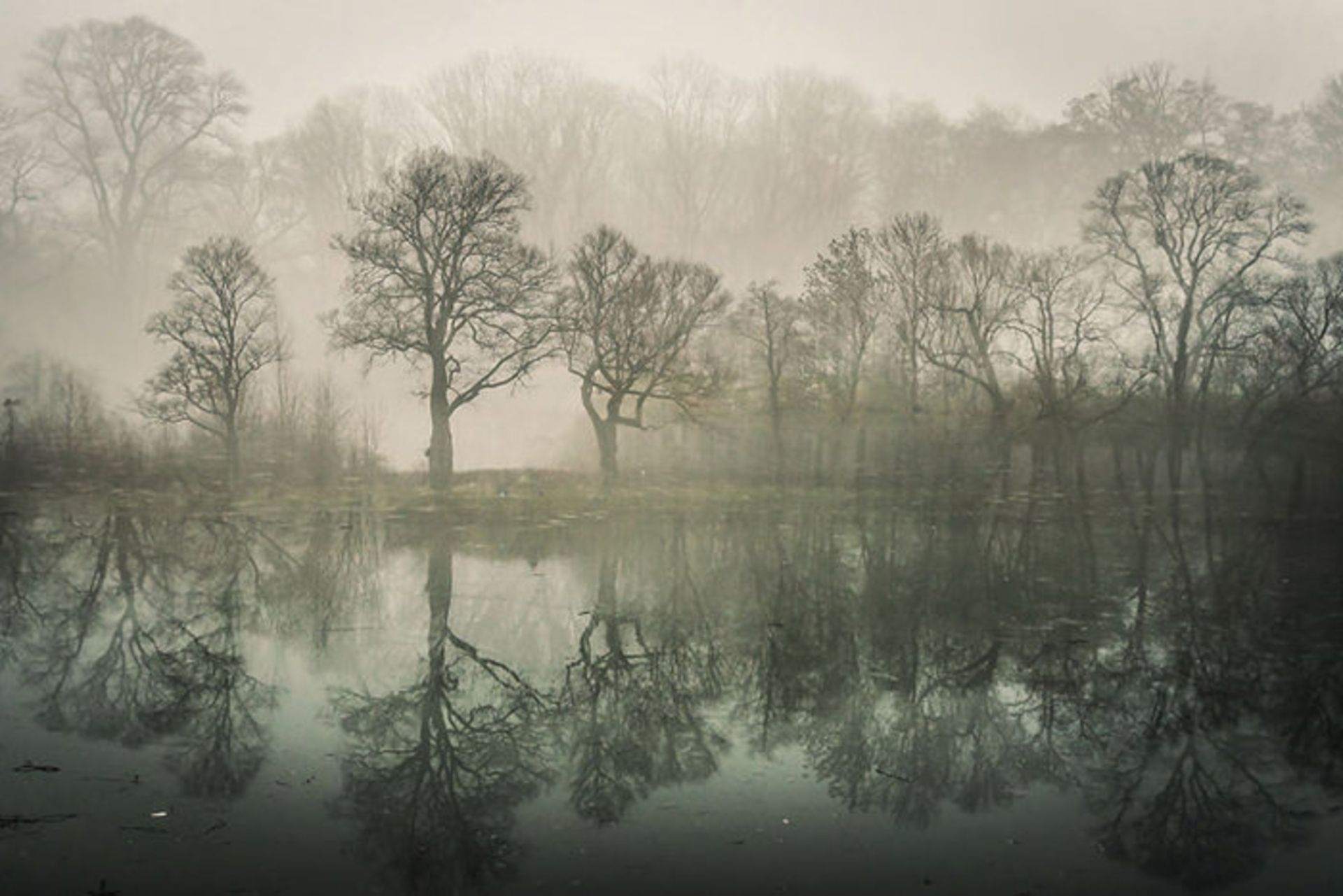 عکاسی منظره در قالبی متفاوت