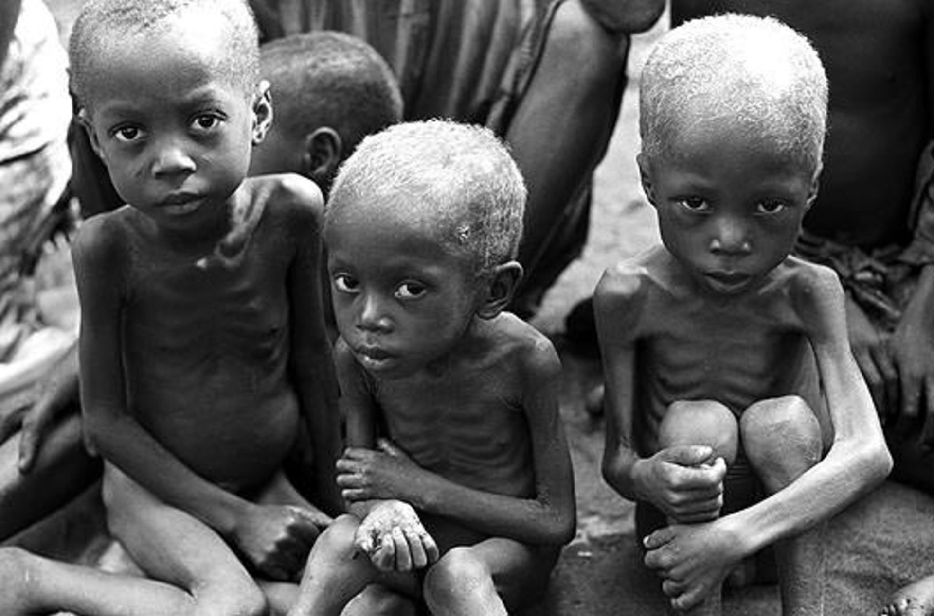 جنگ، فقر و گرسنگی