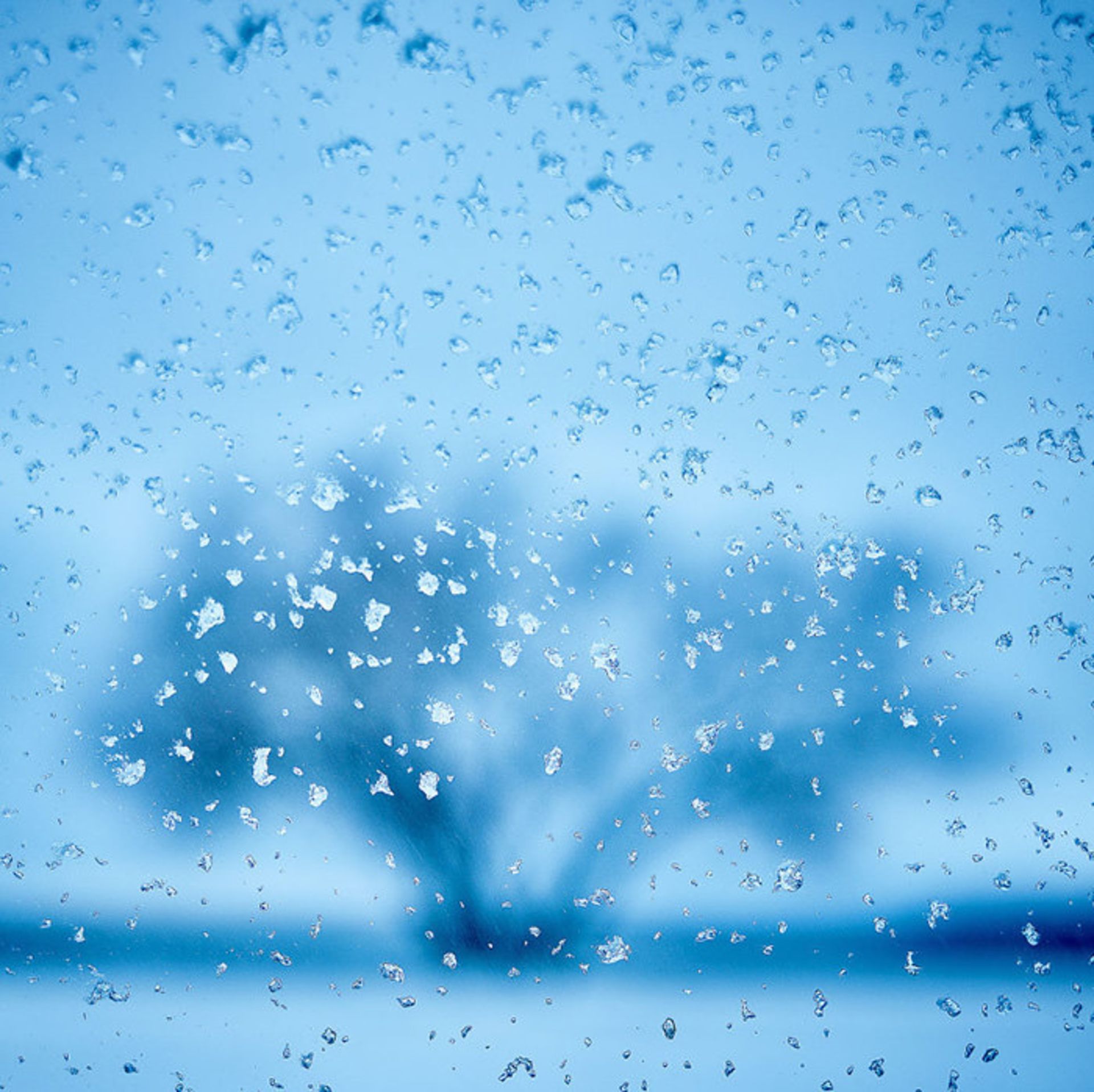 عکاسی از درختی تنها