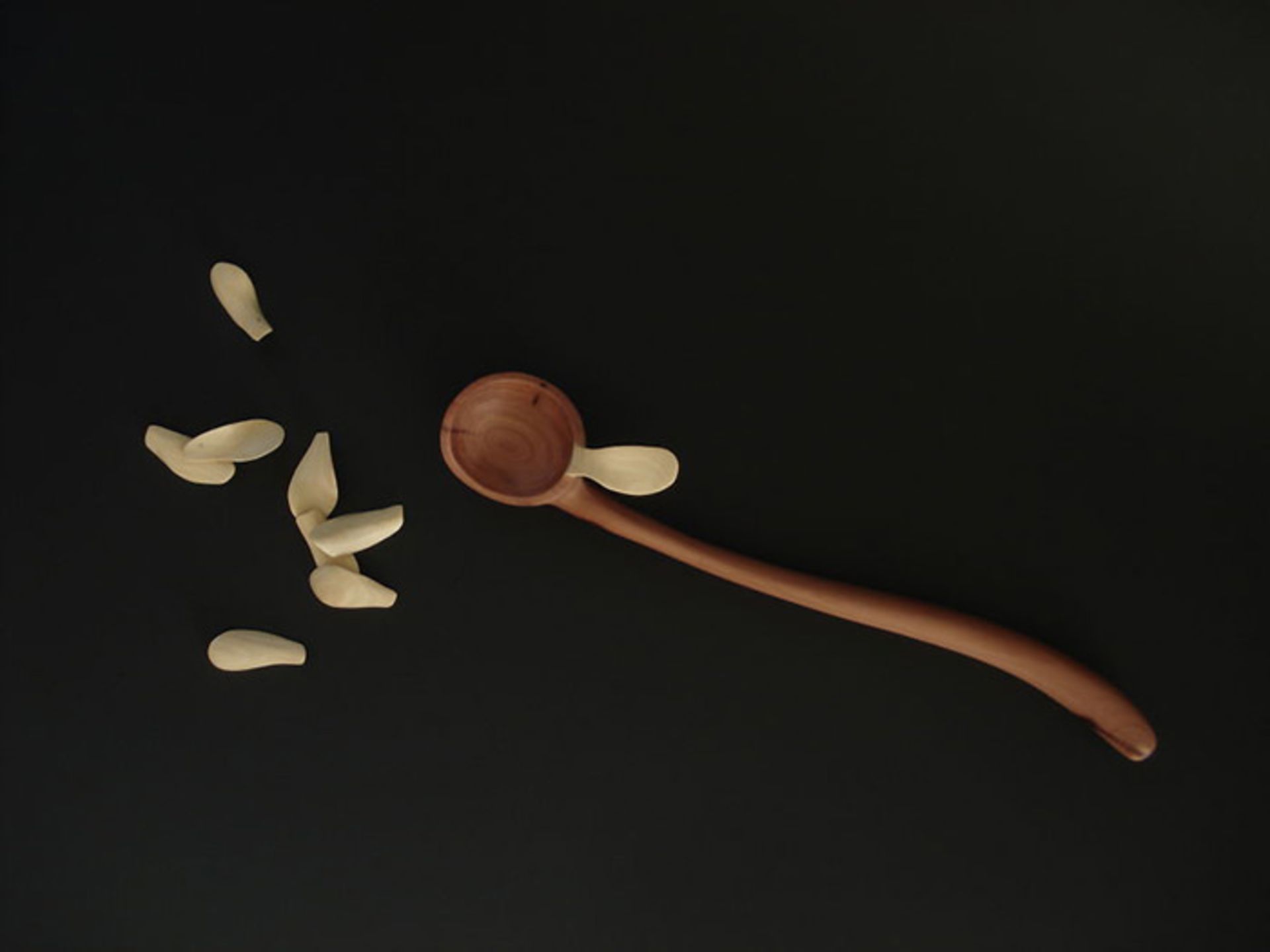 نگاهی به خلاقیت به کار رفته در ساخت قاشق‌های جوبی تری ویدنر