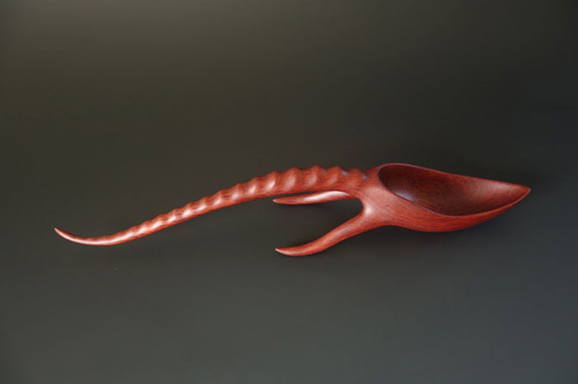 نگاهی به خلاقیت به کار رفته در ساخت قاشق‌های جوبی تری ویدنر