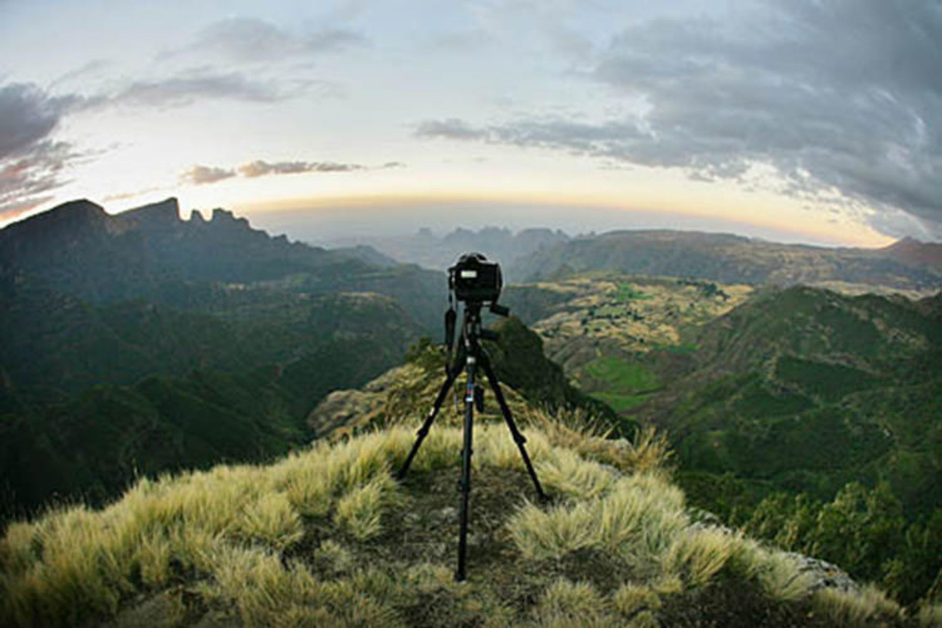 time lapse timothy allen