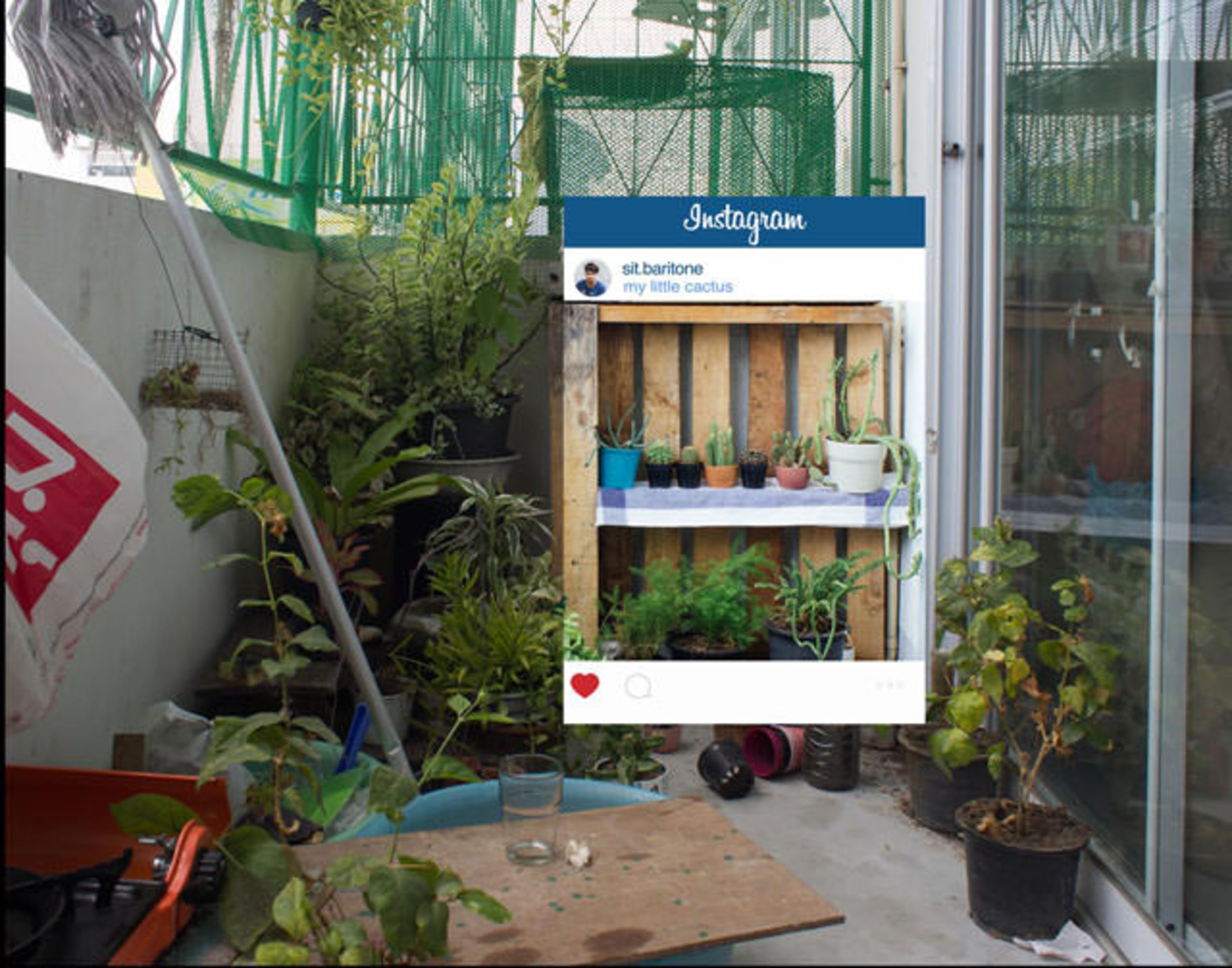 11907384 1050011711685487 4520934220758141842 o