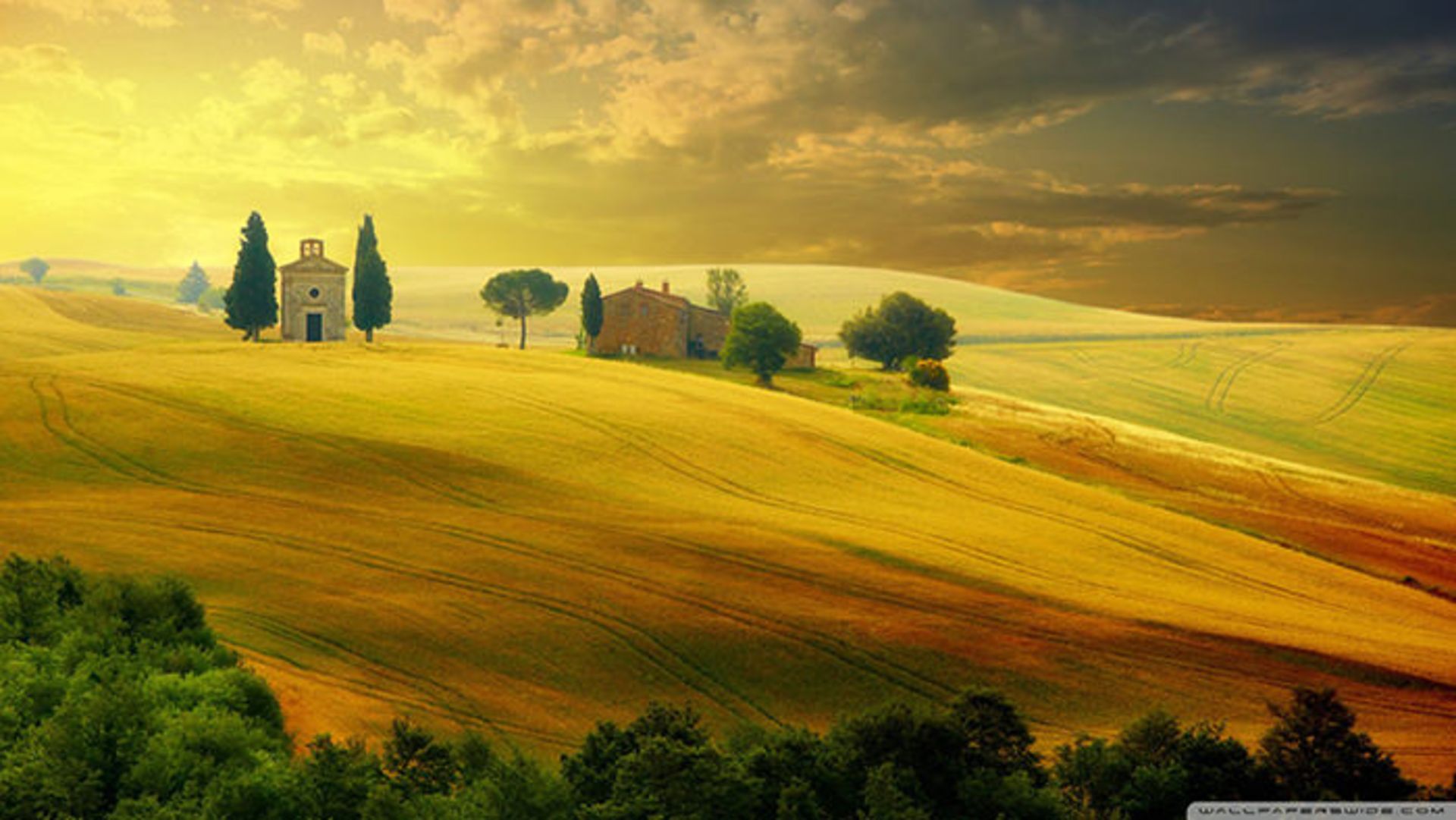 وداعی تصویر با فصل تابستان