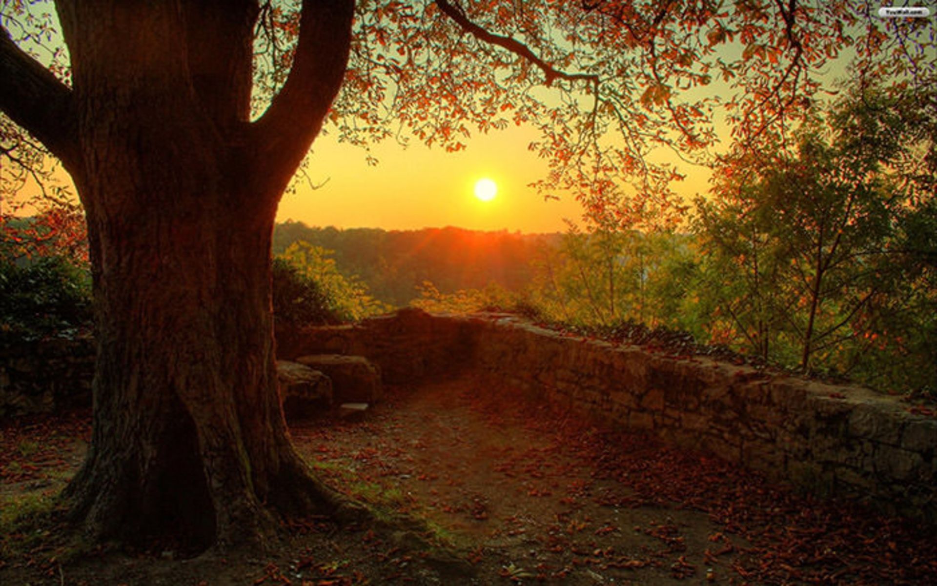 وداعی تصویر با فصل تابستان