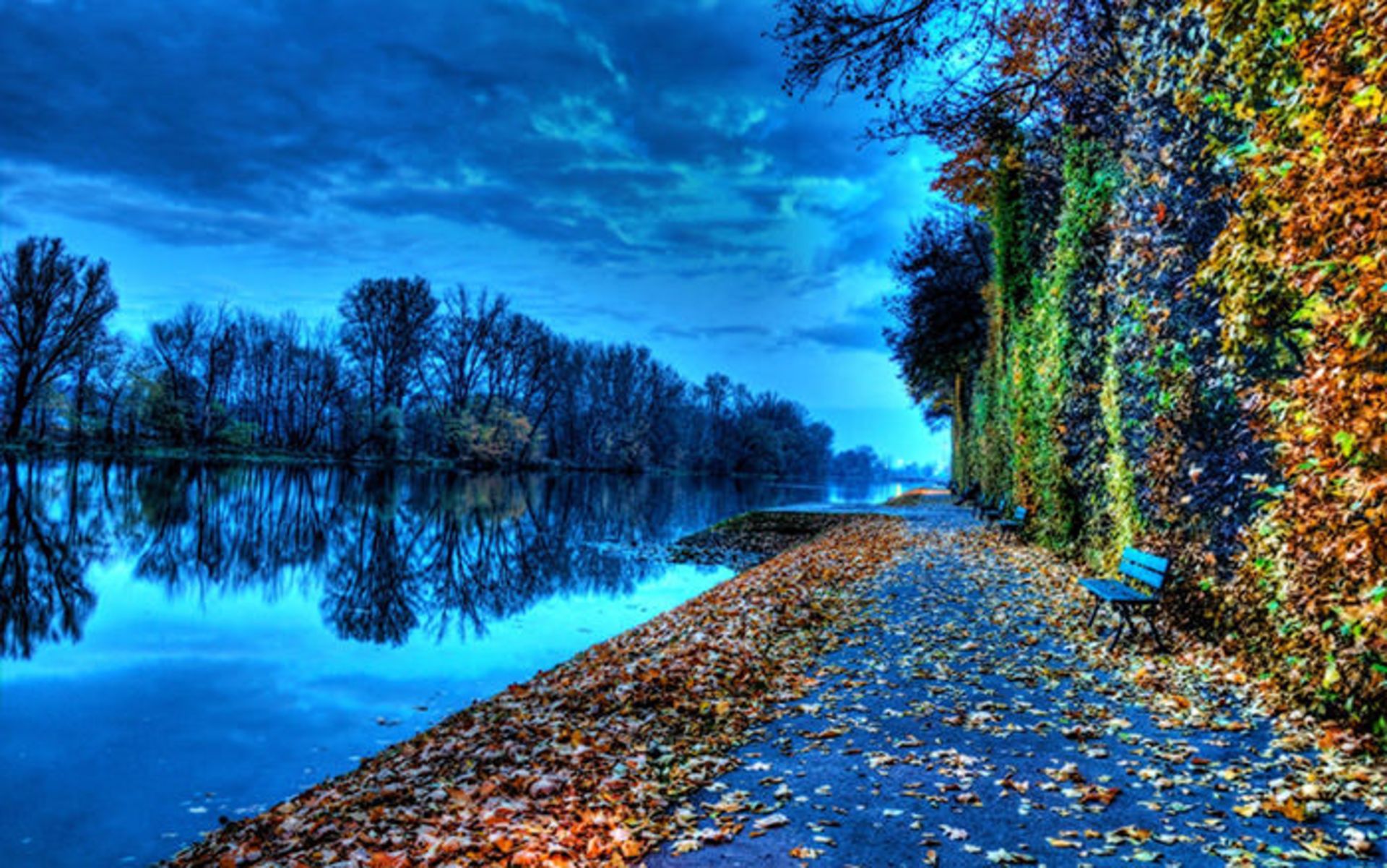 وداعی تصویر با فصل تابستان