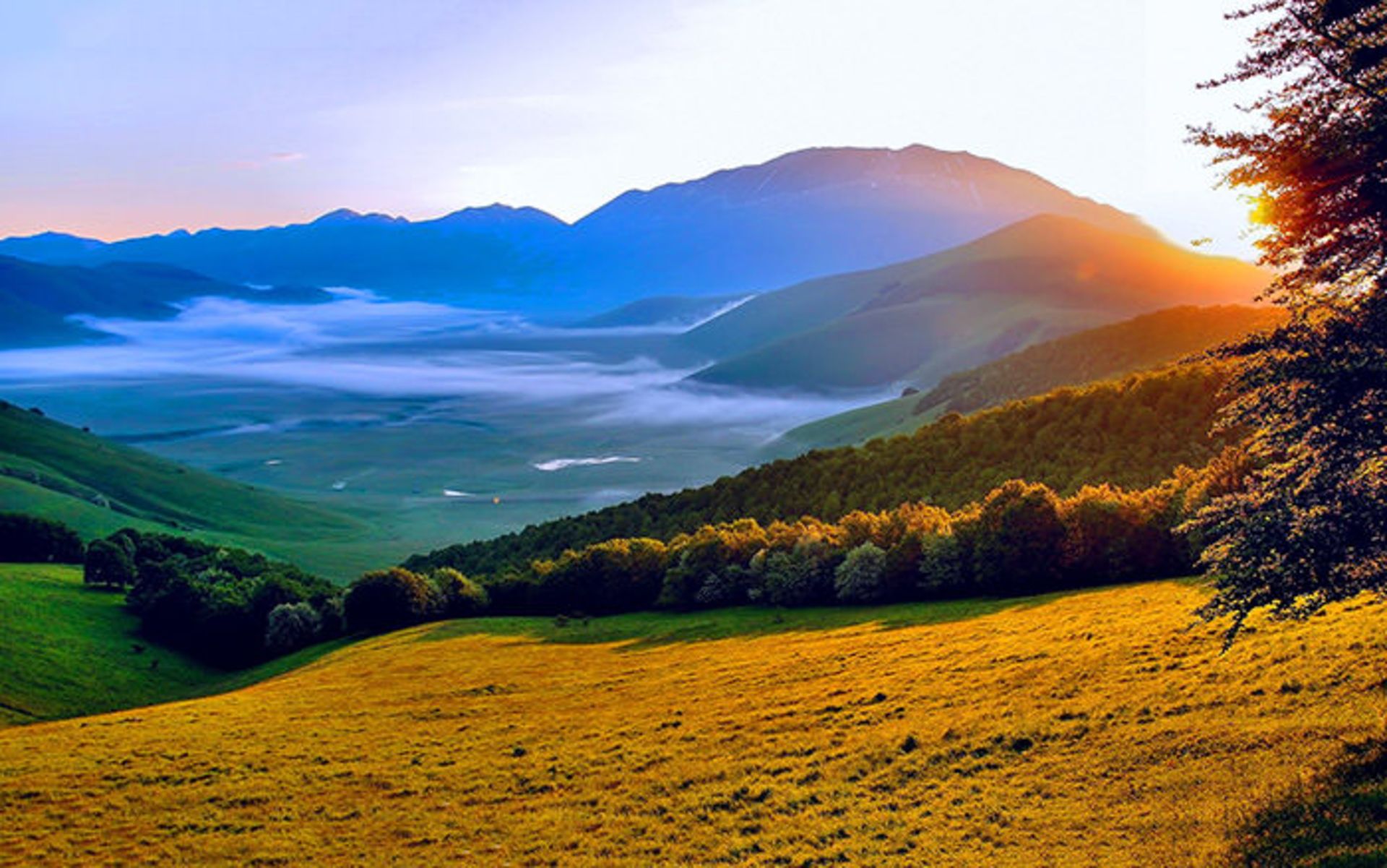 وداعی تصویر با فصل تابستان