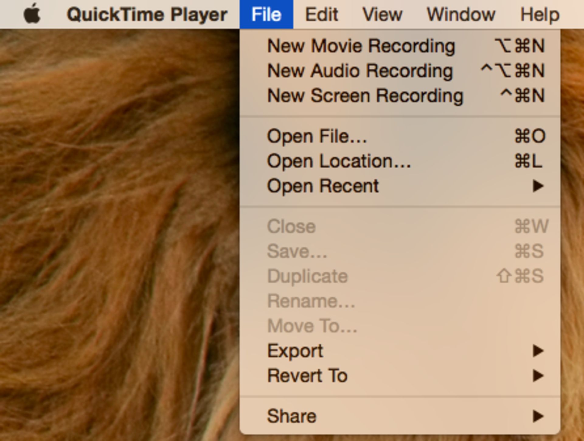 Select File and pick New Movie Recording from the drop d 002