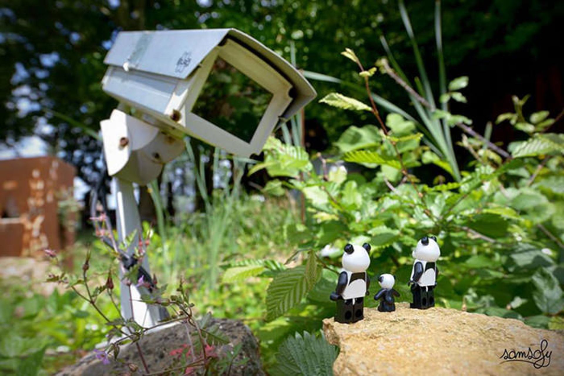 ماجراهای لگویی