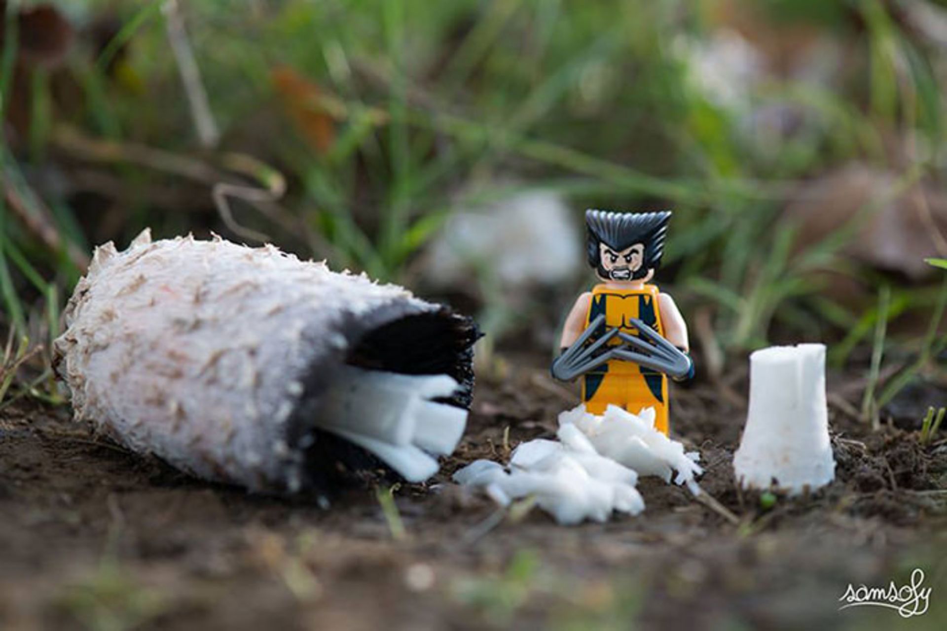 ماجراهای لگویی