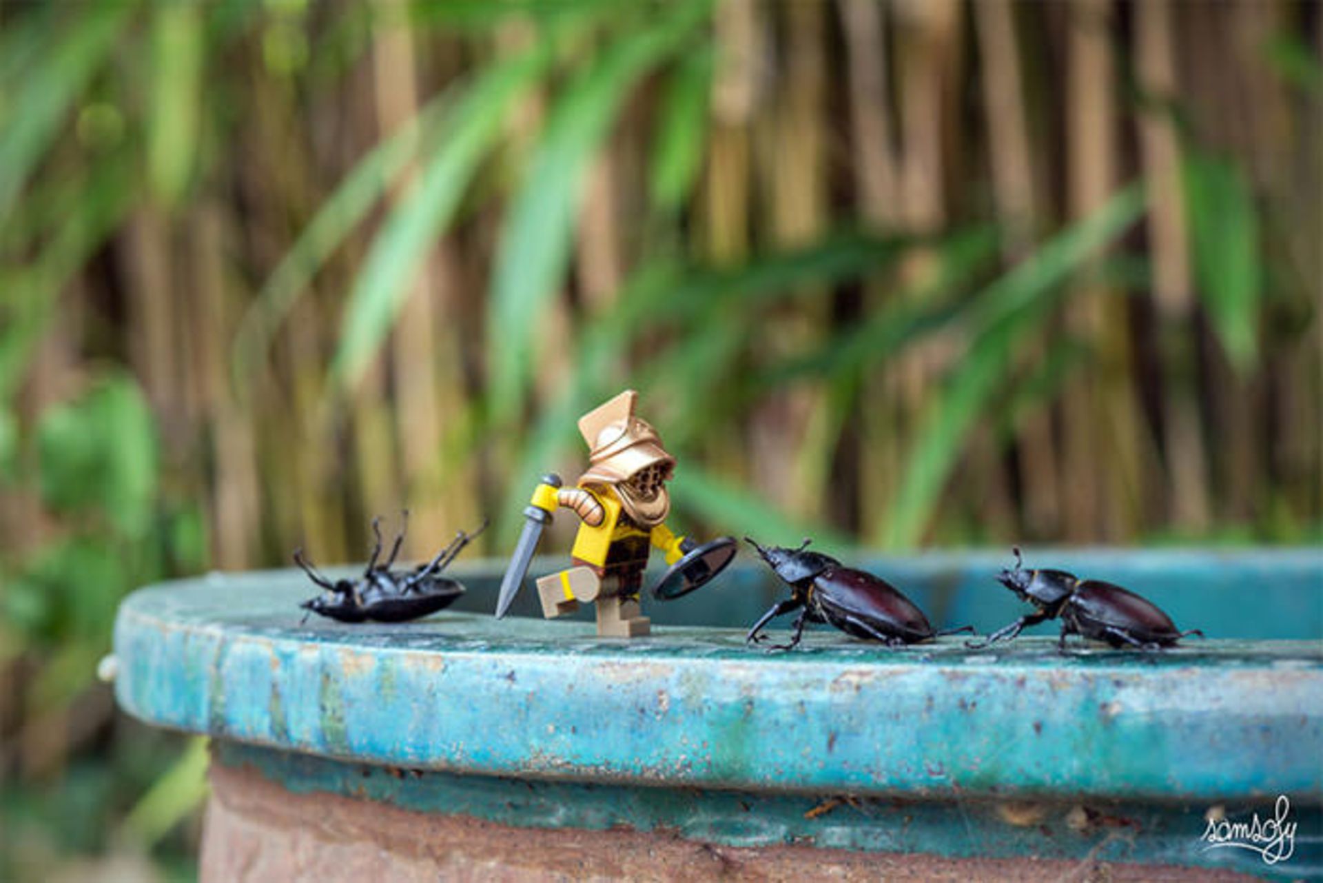 ماجراهای لگویی