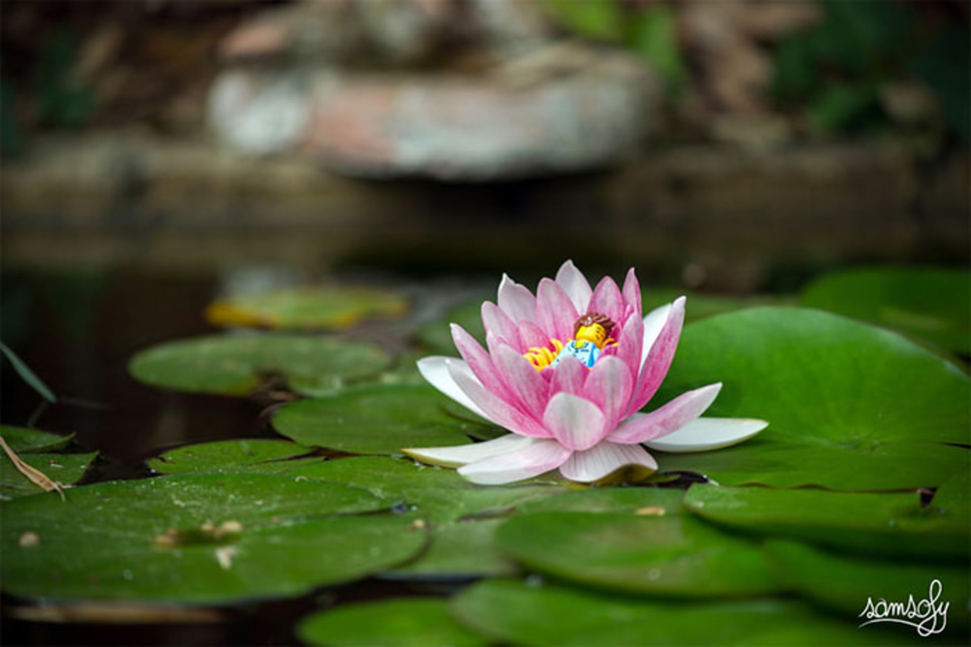 ماجراهای لگویی